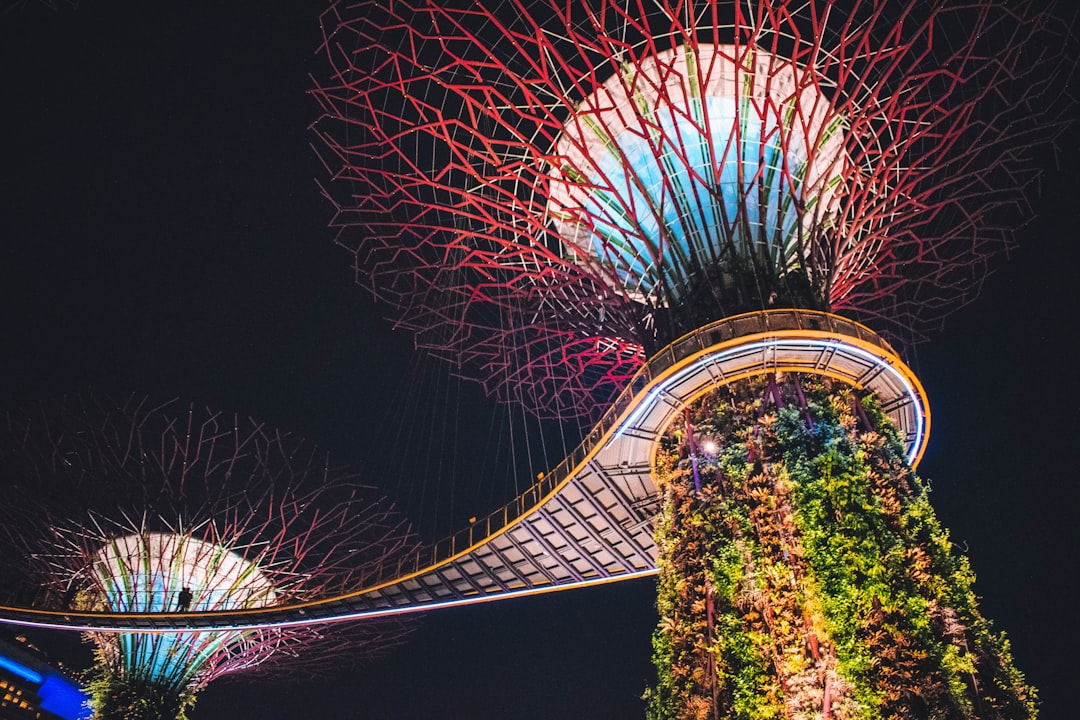 Gardens by the Bay à Singapour avec les Supertrees illuminés
