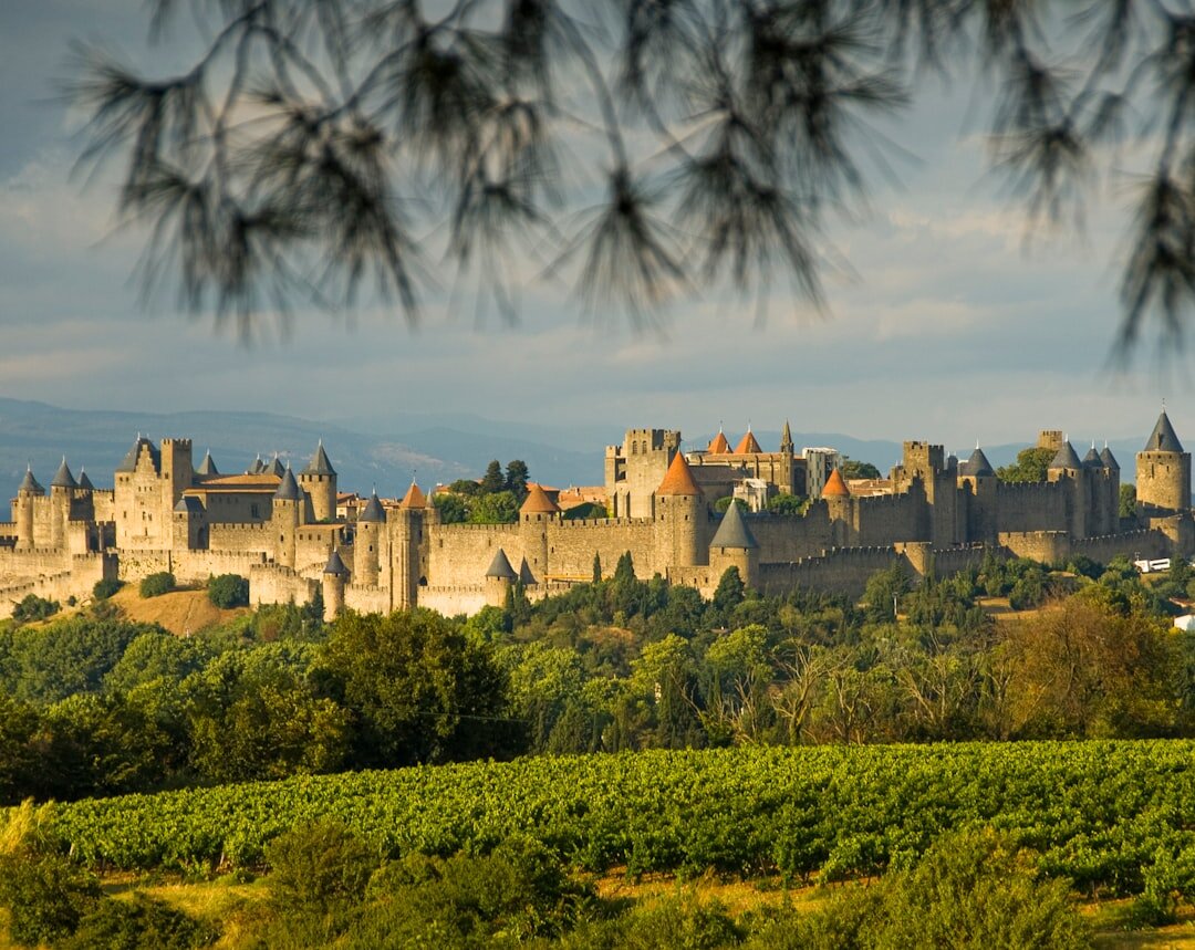 Aventure Médiévale à Carcassonne entre Amis
