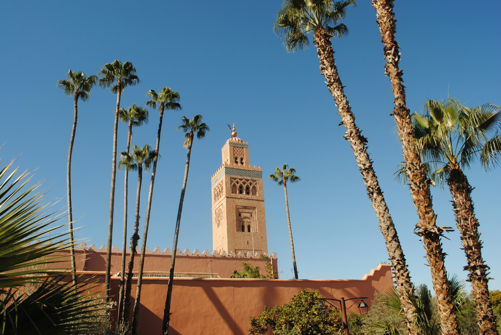 Mosquée beige entourée de palmiers sous un ciel bleu à Marrakech