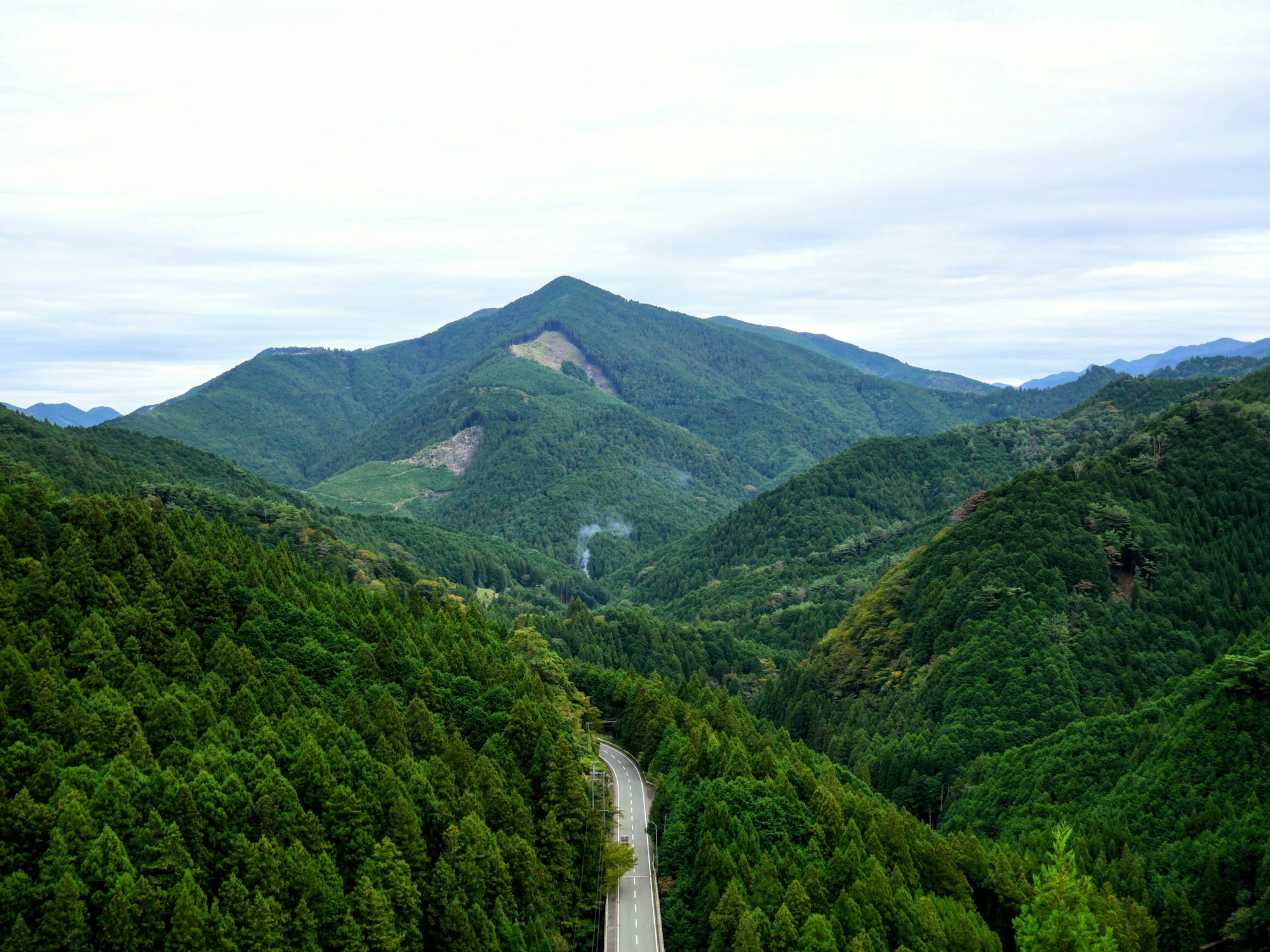 Kazurabashi vine bridge in Iya Valley Japan surrounded by forest