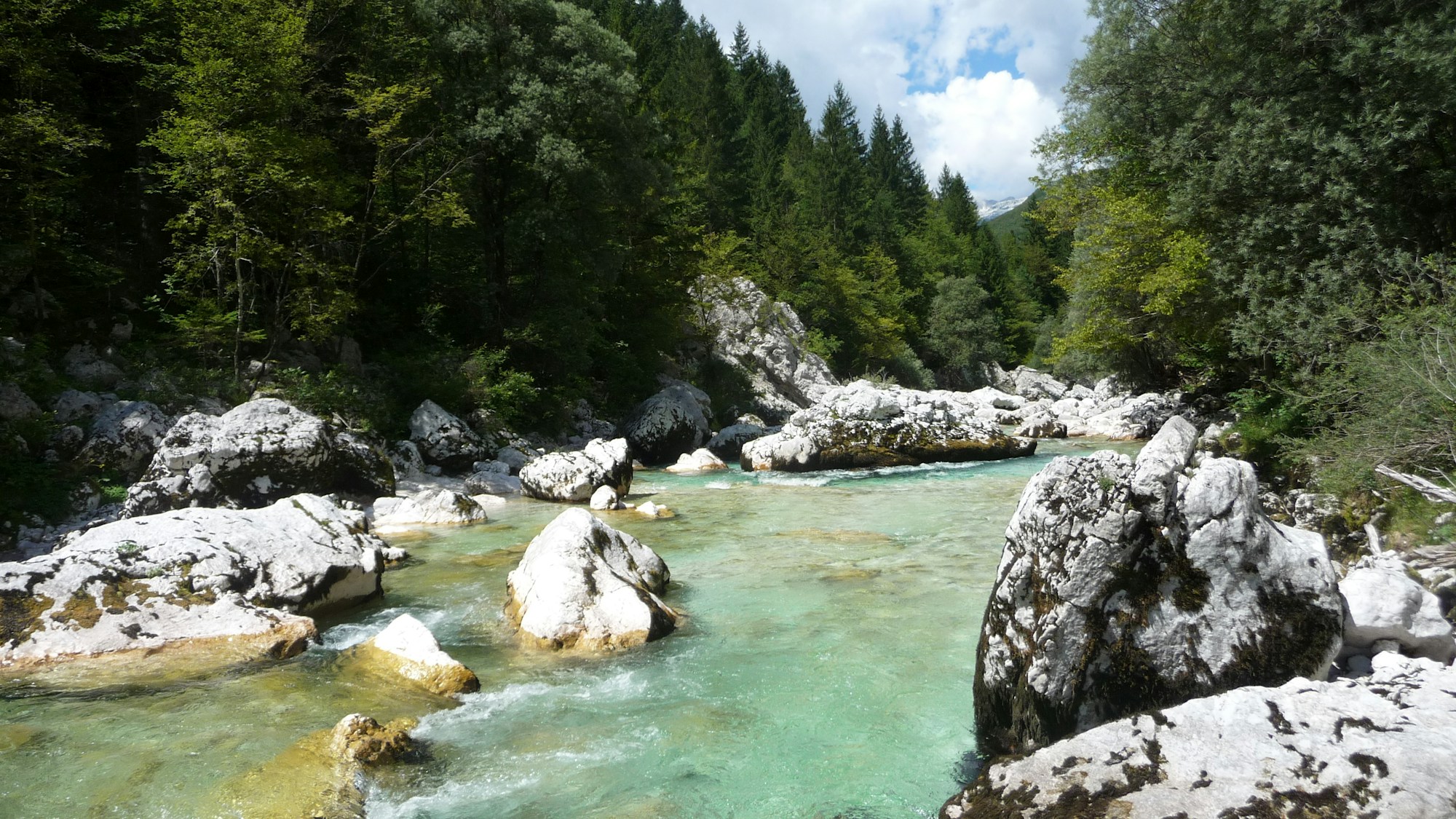 Les eaux turquoise de la rivière Soča dans les Alpes Juliennes