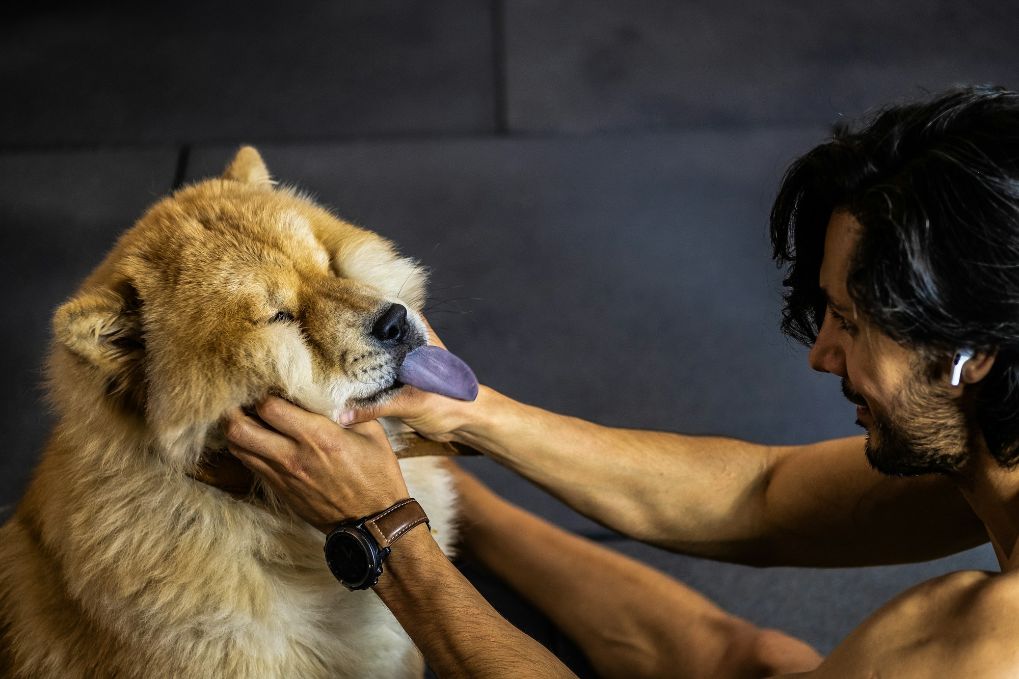 Veterinario sosteniendo un perro pequeno durante un examen medico para el pasaporte europeo