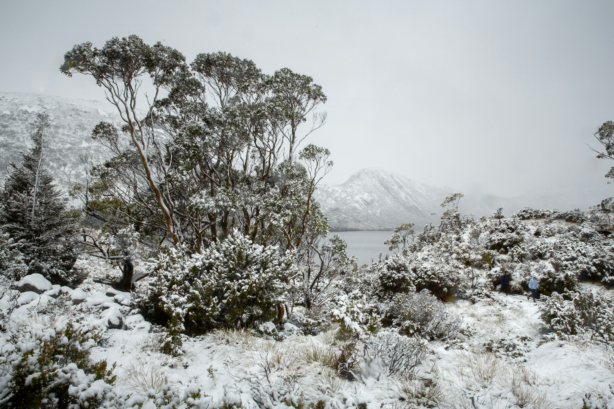 Dove Lake et Cradle Mountain en Tasmanie sous un paysage hivernal sauvage