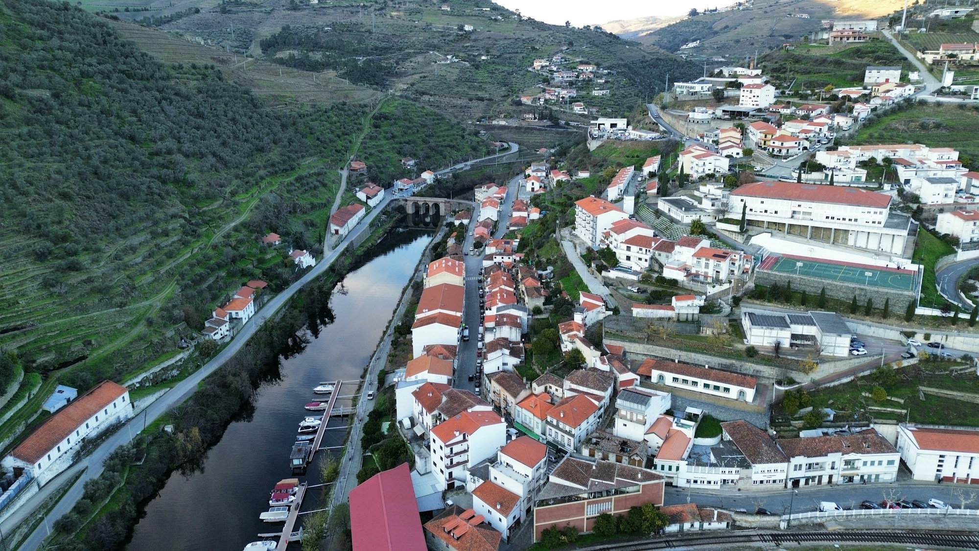 Vignobles en terrasses de la vallée du Douro au Portugal en automne