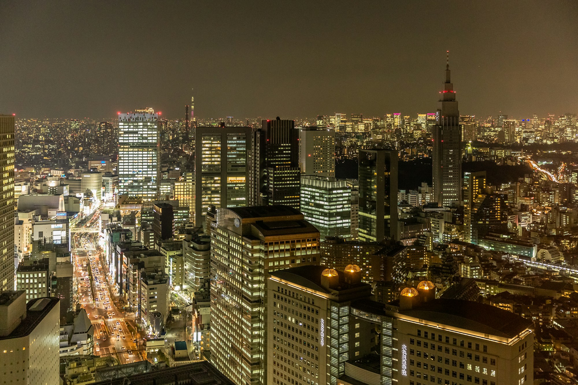 Skyline de Tokyo avec les gratte-ciels de Shinjuku