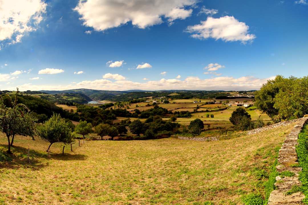 Sentier du Camino de Santiago traversant les collines verdoyantes du nord de l'Espagne