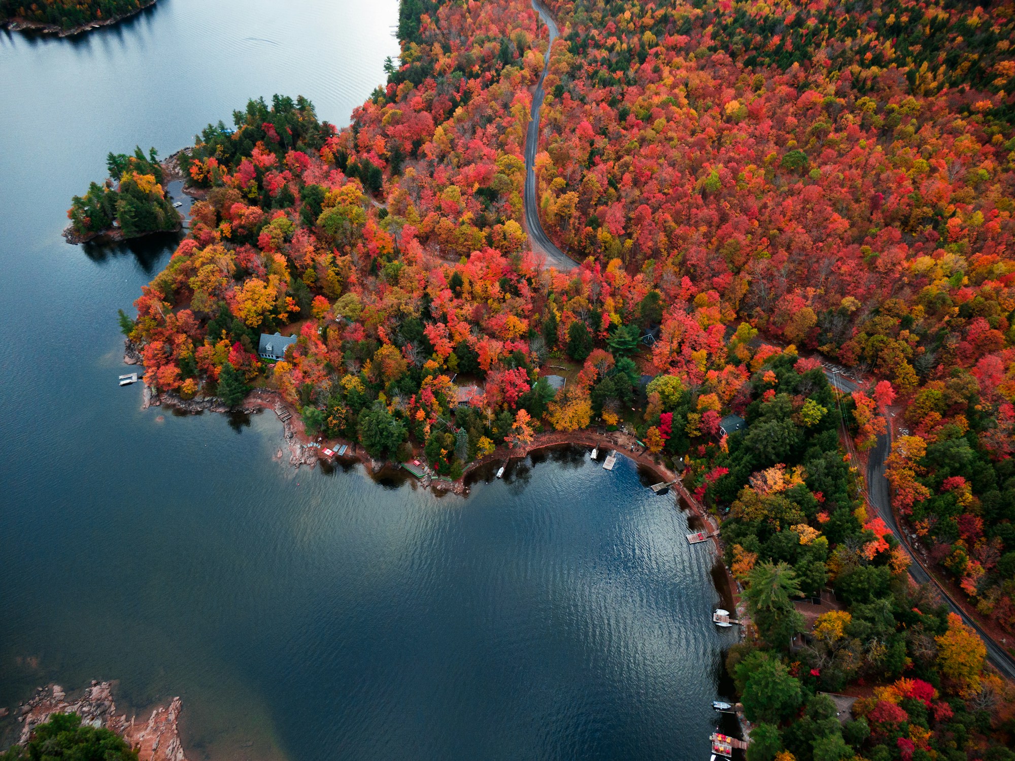 Vue aérienne des couleurs d'automne flamboyantes dans les forêts du nord de l'Ontario, Canada