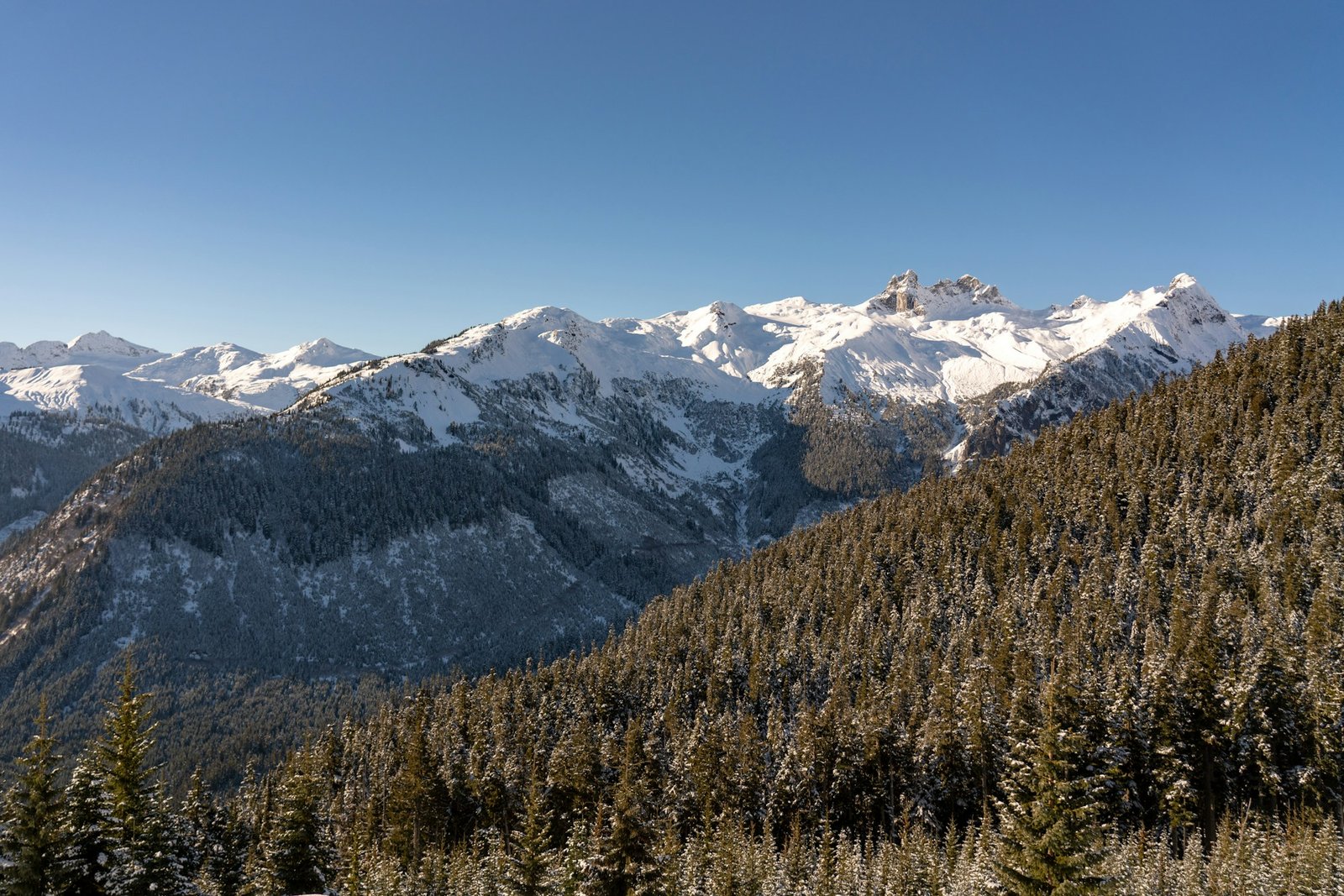 Chaîne de montagnes enneigées sous un ciel bleu, paysage alpin idéal pour les sports d'hiver