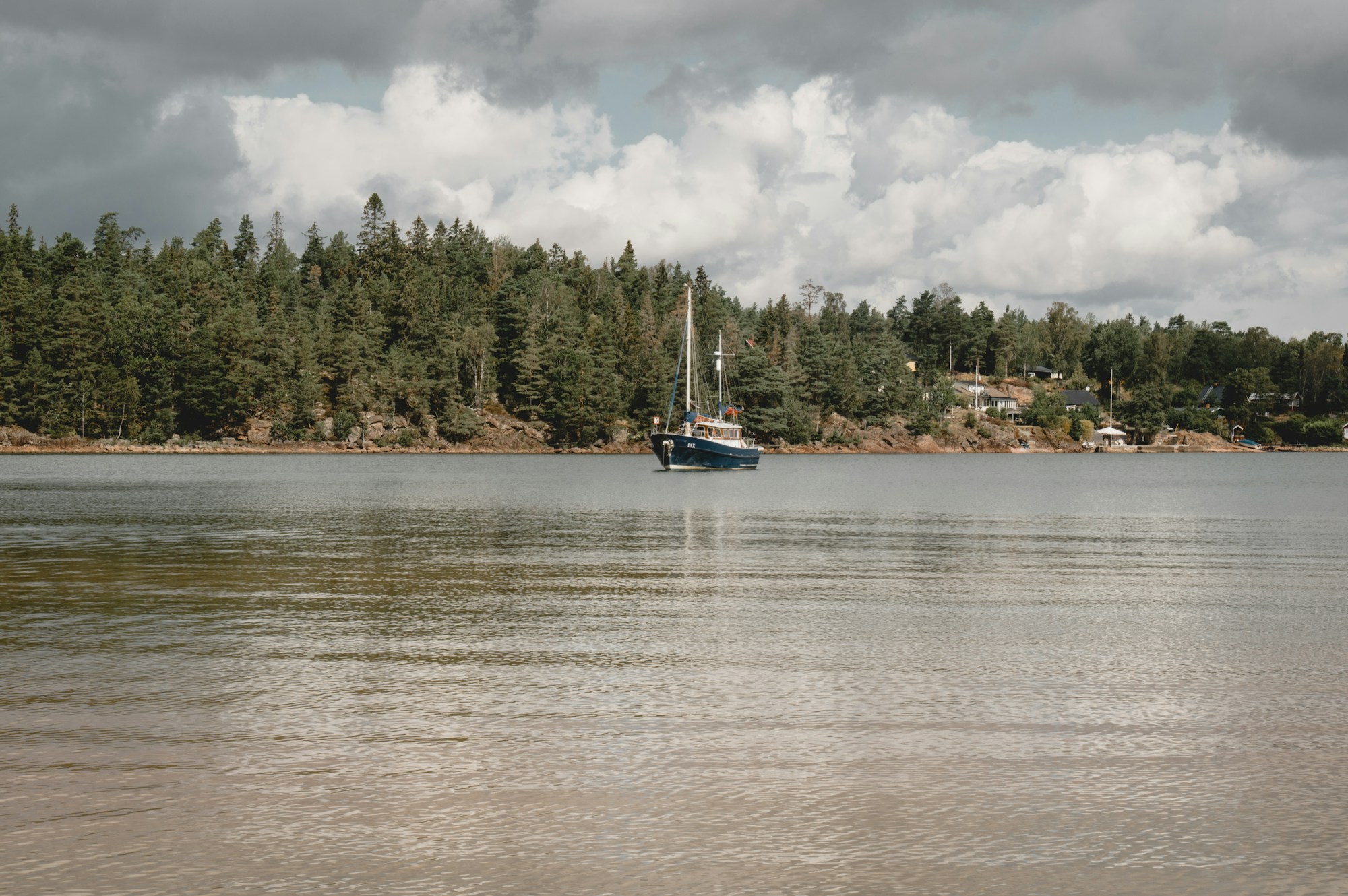 Lac suédois paisible entouré de forêts verdoyantes en été