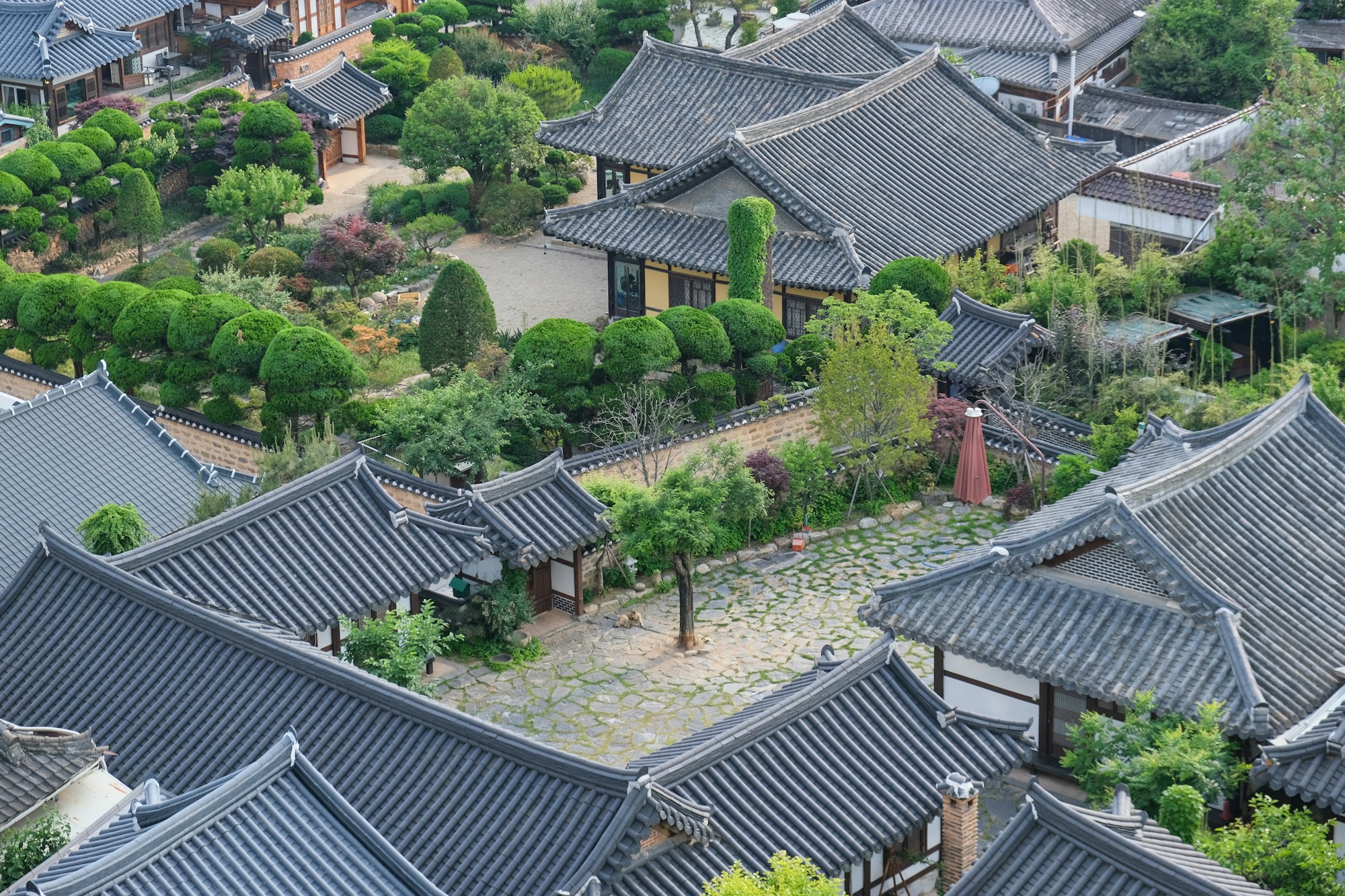 Aerial view of traditional hanok village rooftops in Jeonju, South Korea