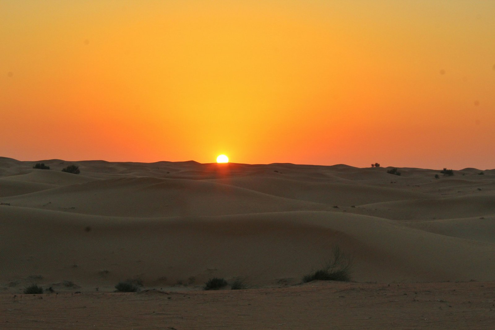 Sunset over red sand dunes in the Dubai desert, UAE