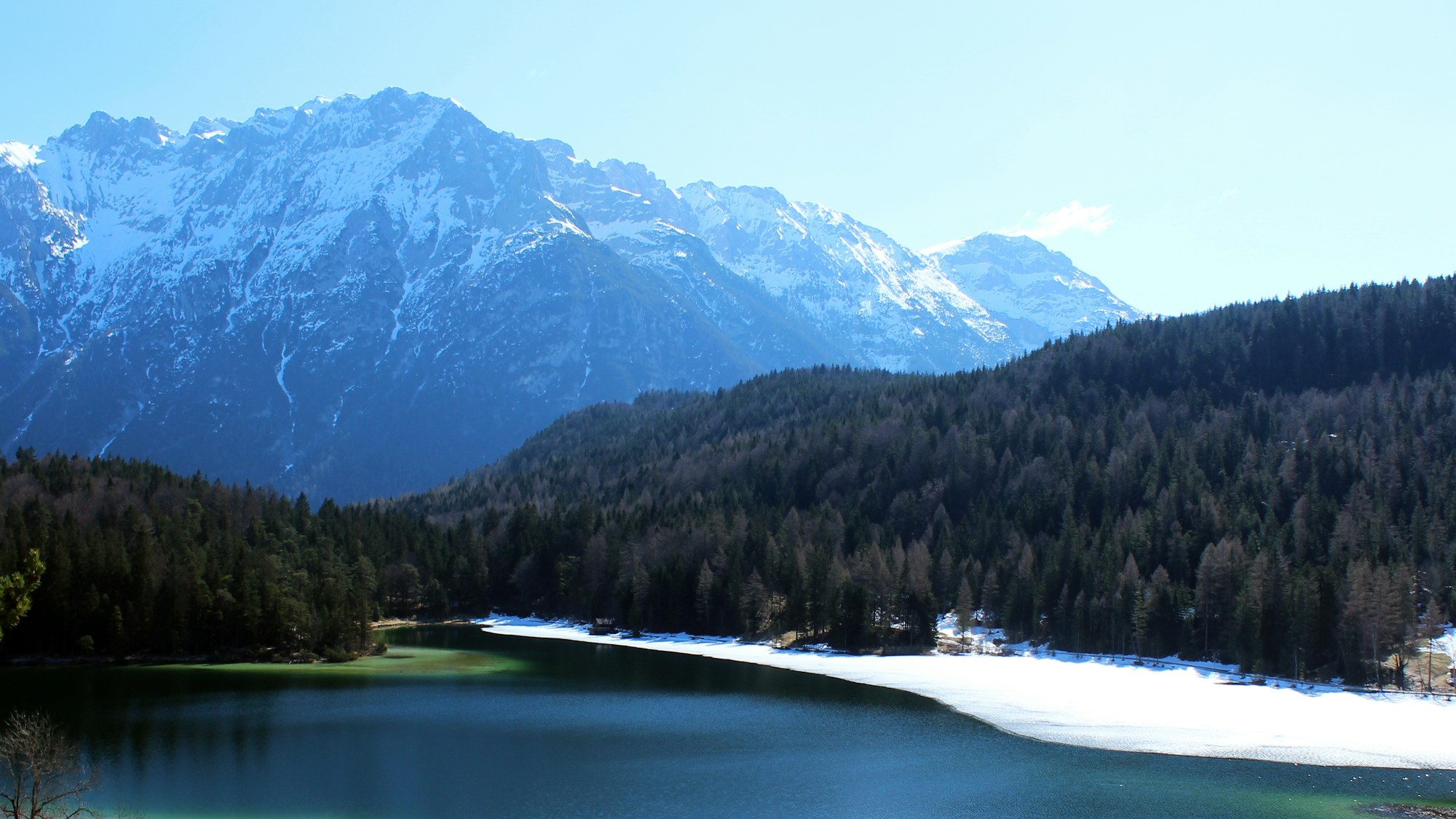 Mountain landscape in the Austrian Vorarlberg with forests and alpine pastures