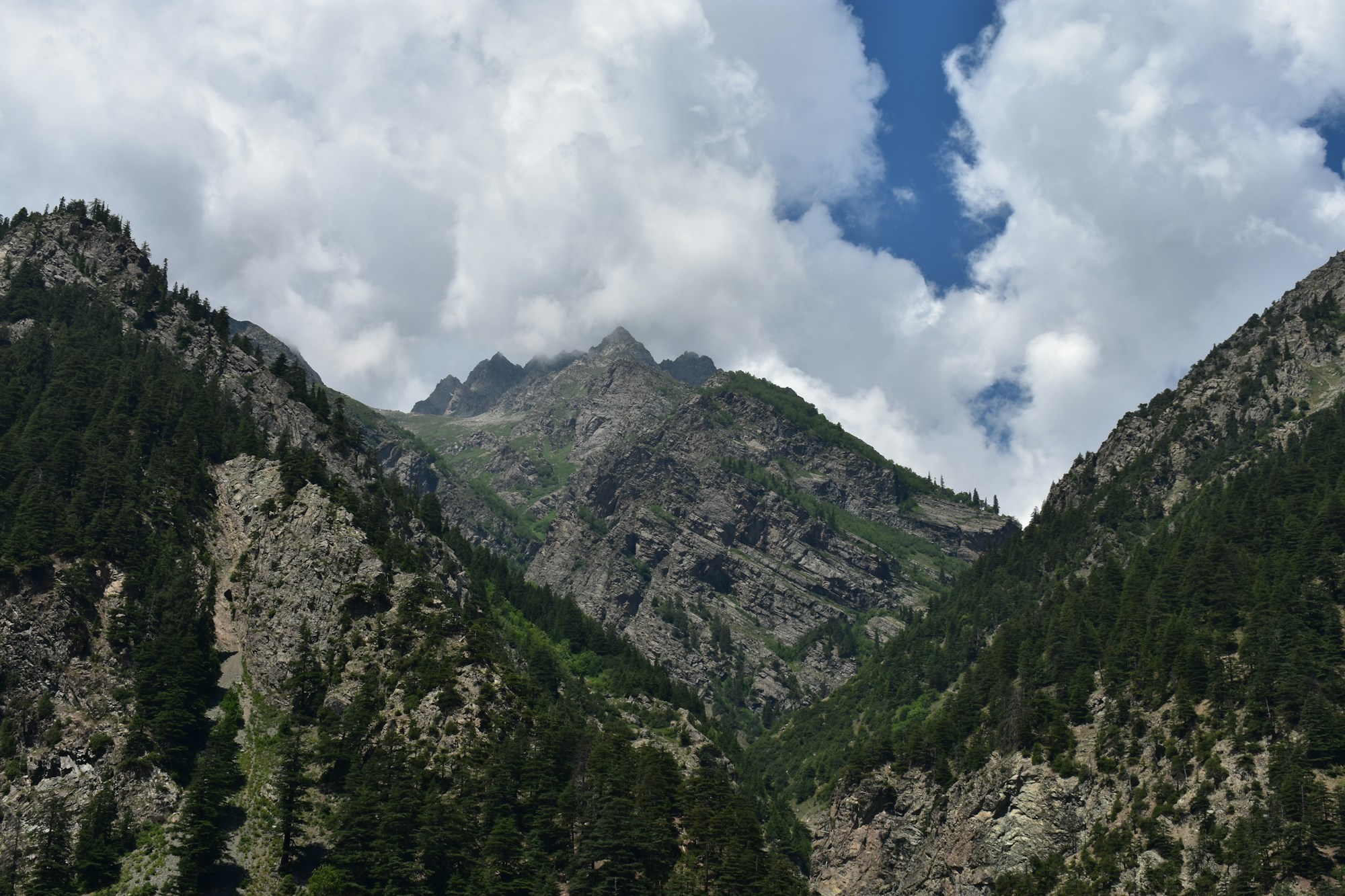 Alpine panorama with snow-capped mountains and green valley in the Alps