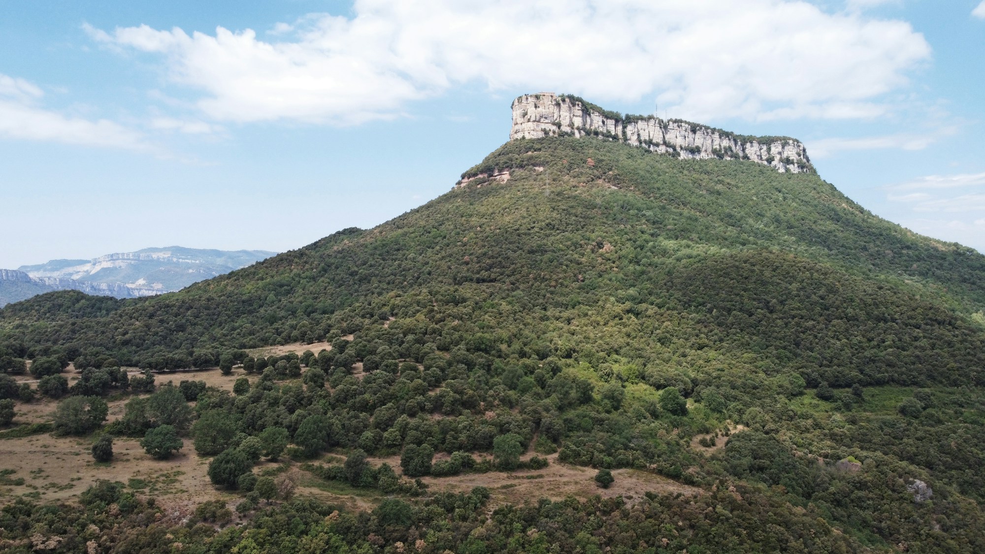 Dense green forest in the volcanic hills near Girona, Spanish Catalonia
