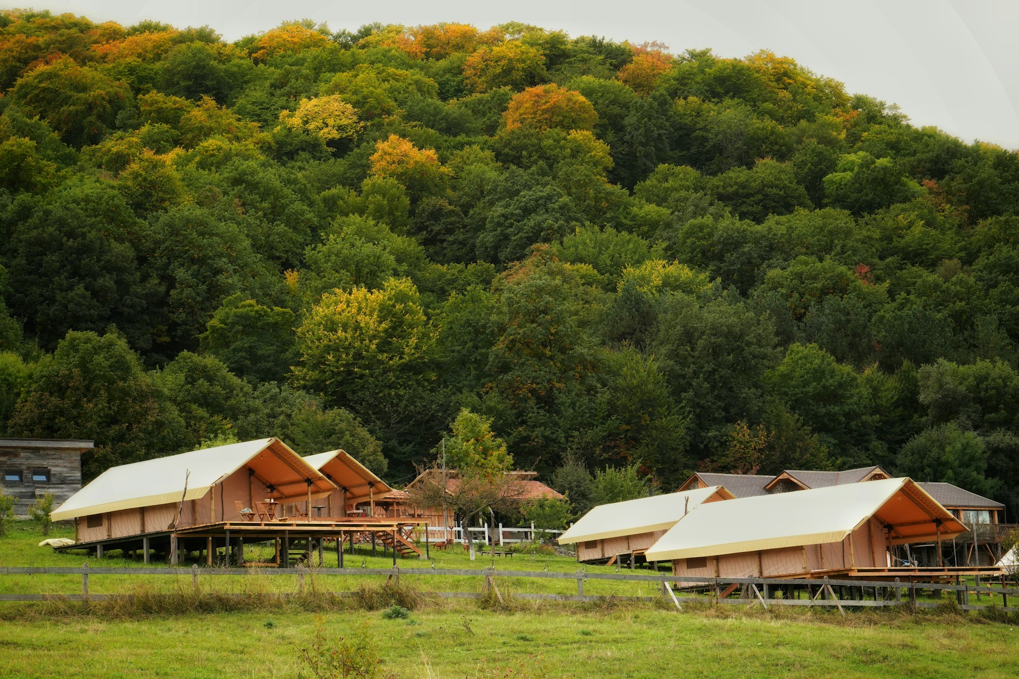 Glamping tents nestled at the foot of a wooded hill