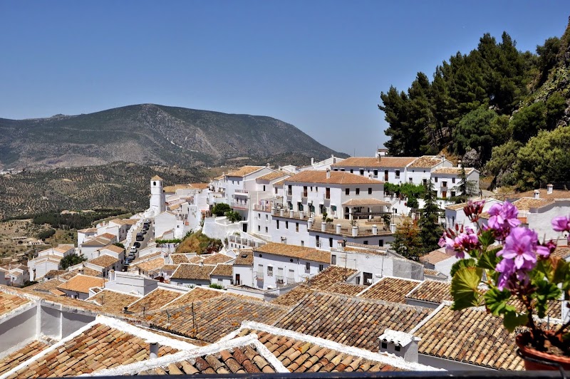 Camping Rural Grazalema - Emplacement Standard – Grazalema - Sierra de Grazalema (photo 3)