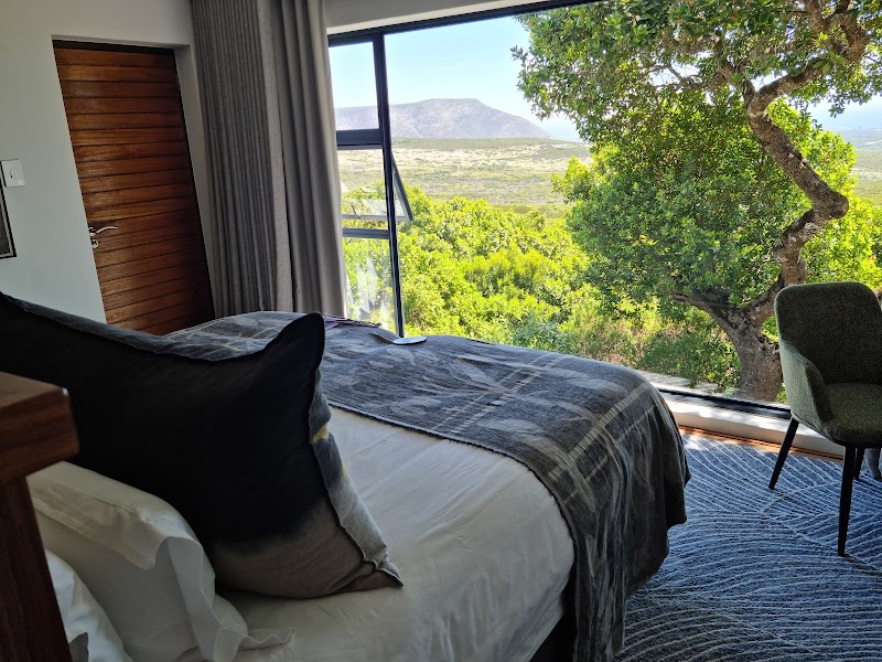 Grootbos Private Nature Reserve – R43, Gansbaai, Walker Bay, Western Cape (photo 2)