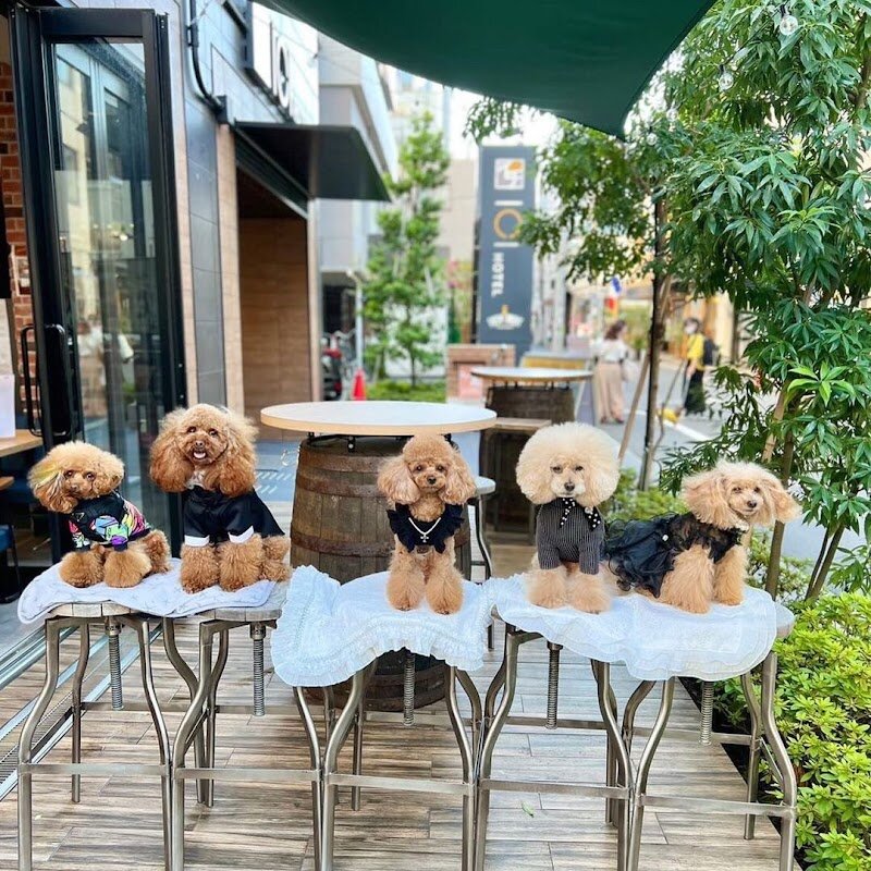 ICI HOTEL ASAKUSABASHI – Asakusa, Tokyo, Japon (photo 1)