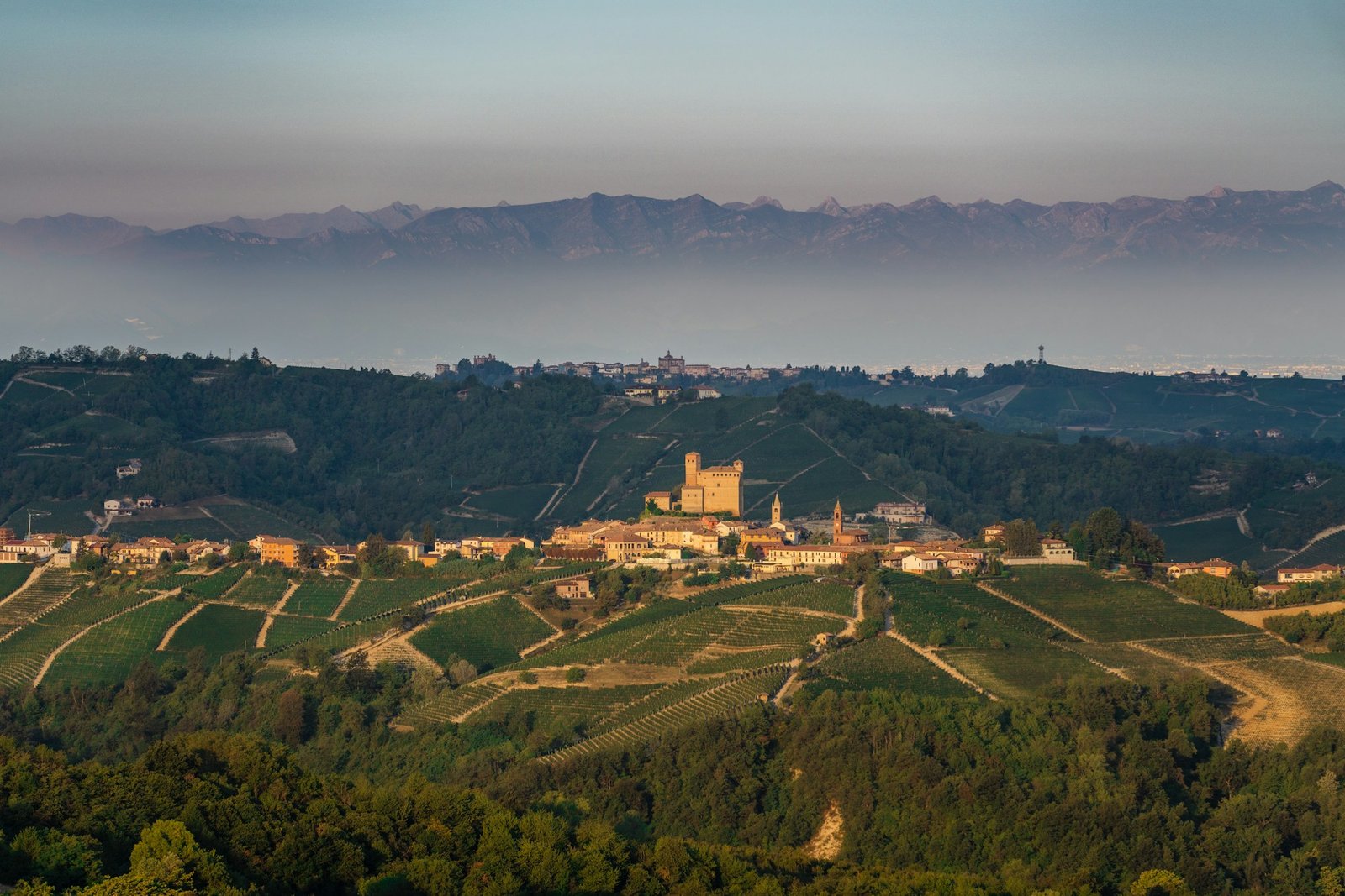 Langhe vineyards in Italian Piedmont at sunset with rolling hills and mist