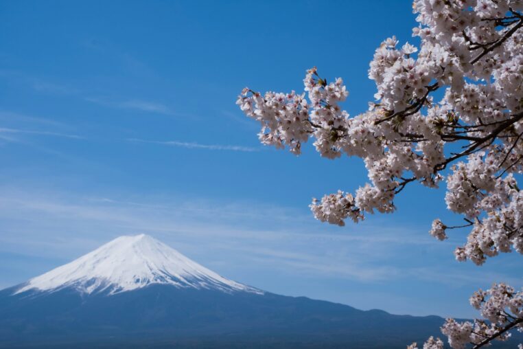 Japon 2026 : Guide Complet Post-Réouverture pour Voyageurs Français