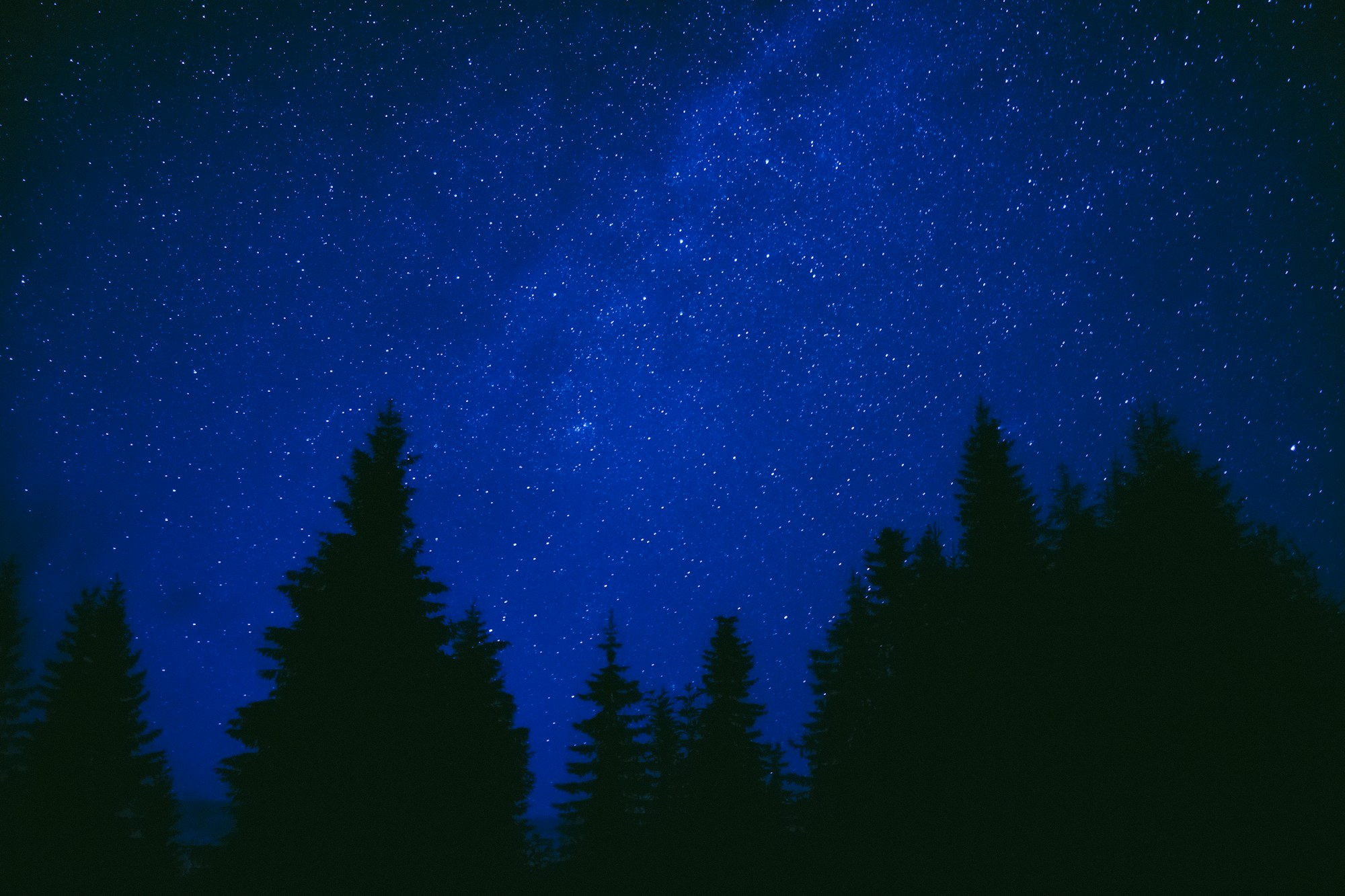 Sternenhimmel über einem nächtlichen Wald, der die natürliche Melatoninproduktion symbolisiert