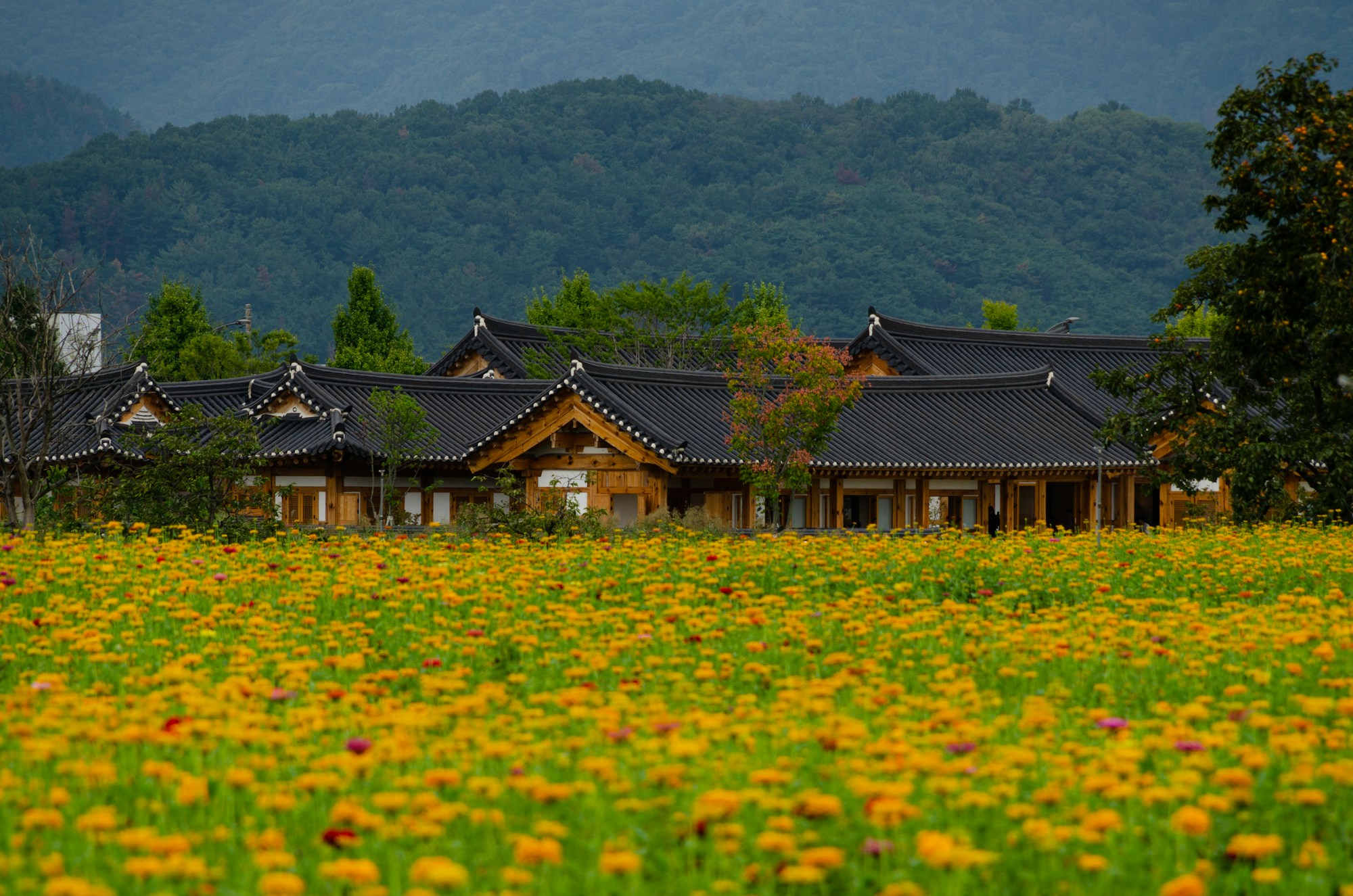 Early 20th-century historical set at Sunshine Studio in Nonsan, filming location for period K-dramas