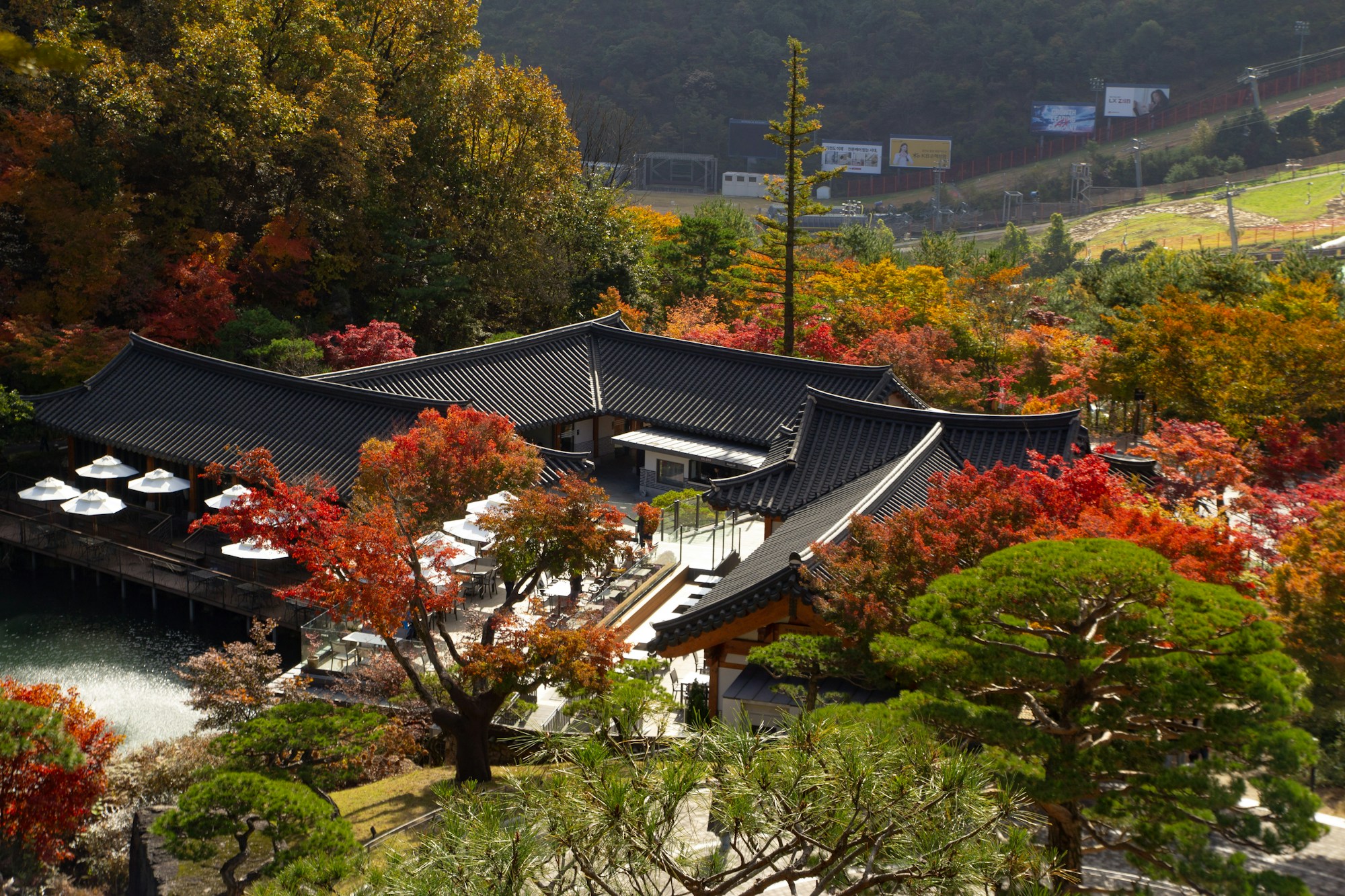 Gothic campus of Yonsei University in Seoul in autumn, filming location of True Beauty and Snowdrop