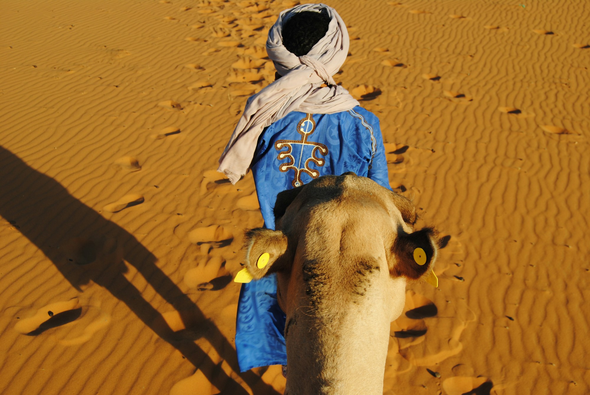 Guide berbère en robe bleue menant un dromadaire dans le désert du Sahara