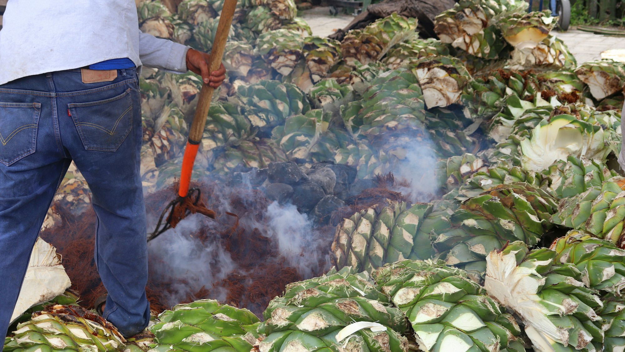 Mezcalería artigianale nella regione di Matatlán, Oaxaca - Messico 2026