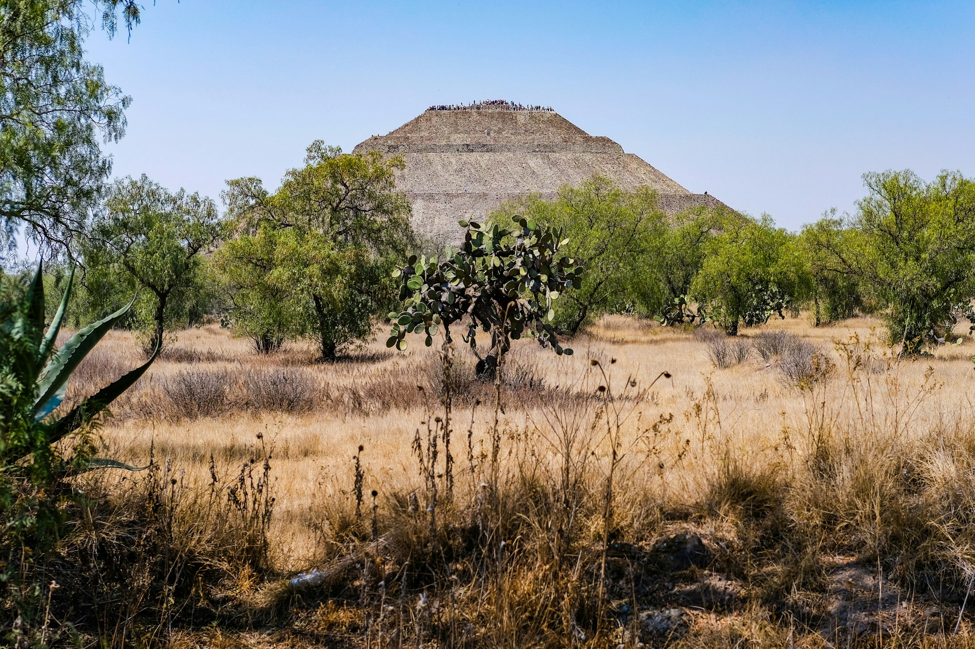 Piramide della Luna a Teotihuacán con vista sul Viale dei Morti - Messico 2026