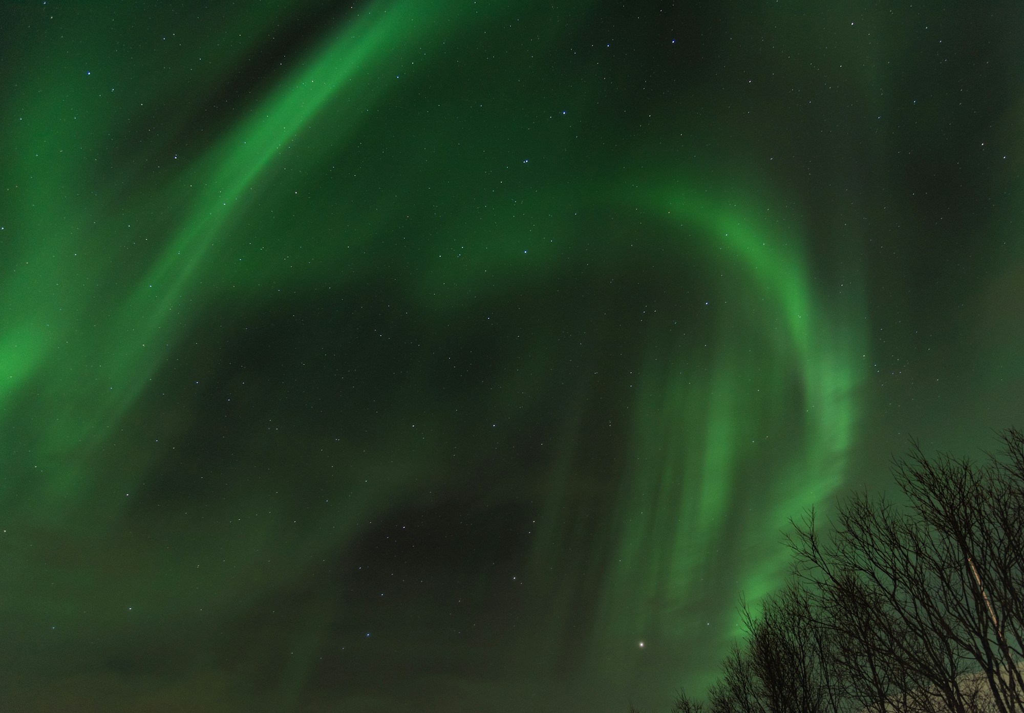 Aurores boréales vertes illuminant le ciel nocturne au-dessus de Tromsø, Norvège