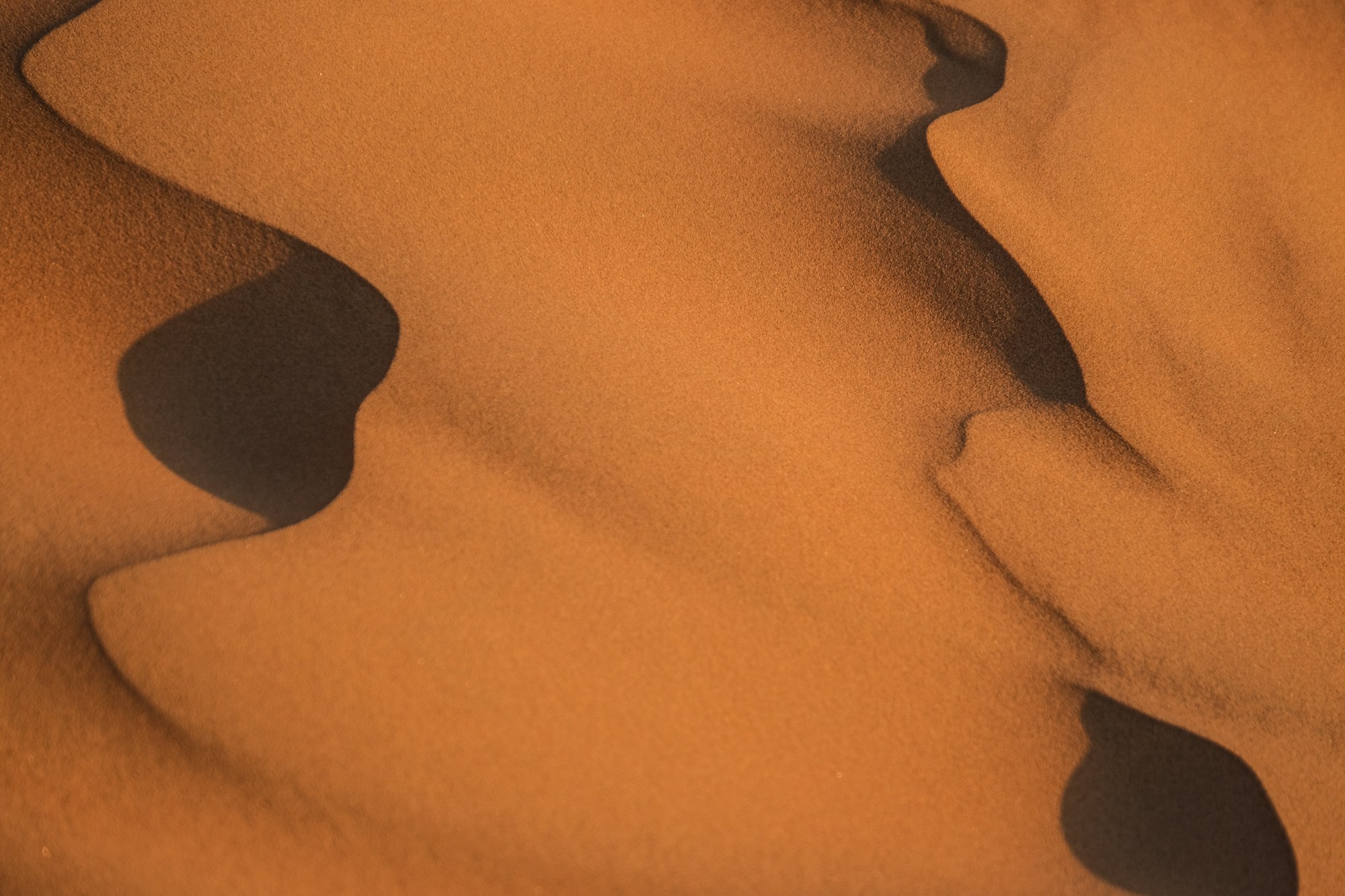 Dunes dorées du désert de Wahiba Sands au coucher du soleil, Oman