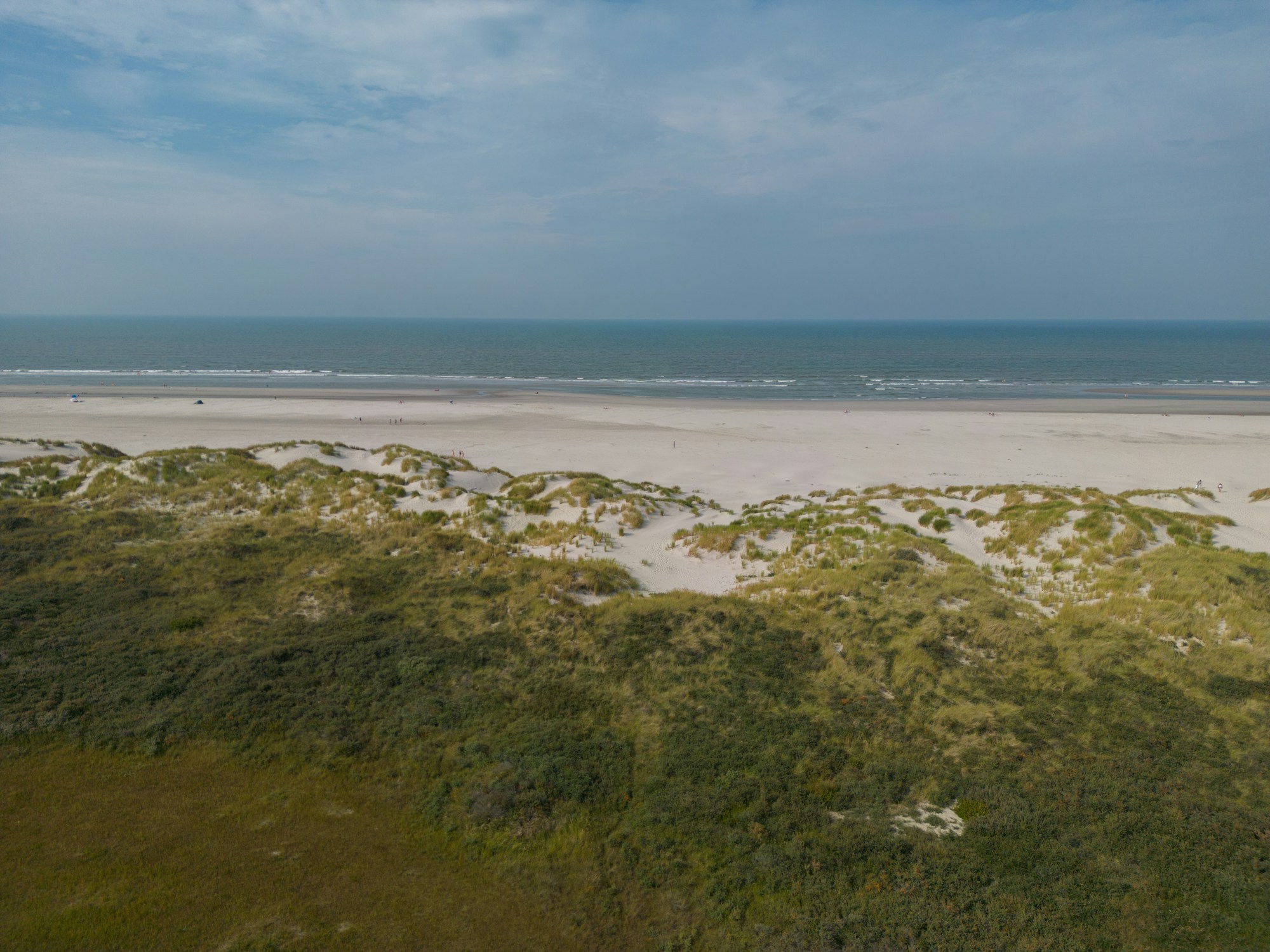 Wadden Sea in the Netherlands