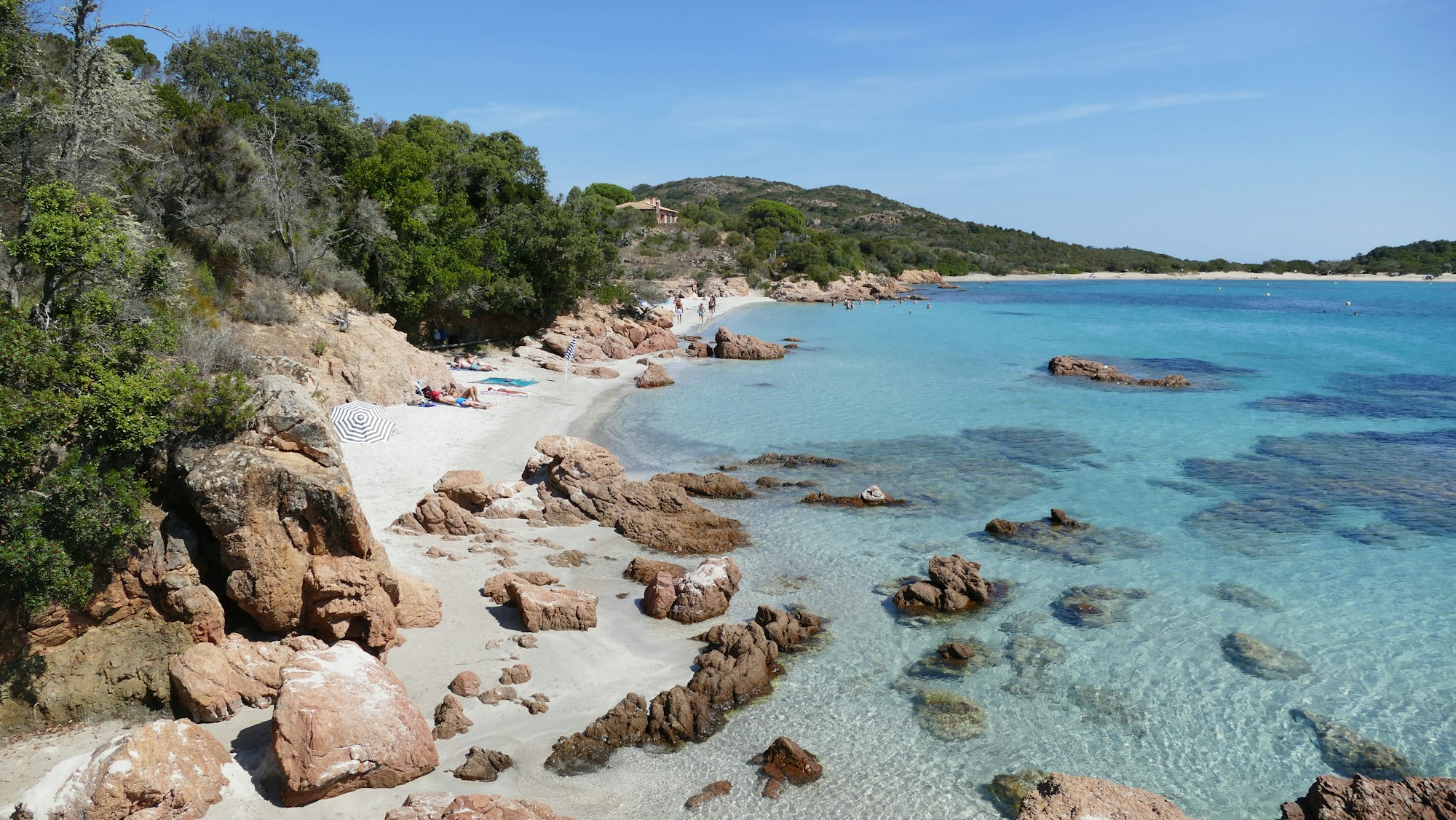 Turquoise waters and umbrella pines of Palombaggia beach near Porto-Vecchio in southern Corsica
