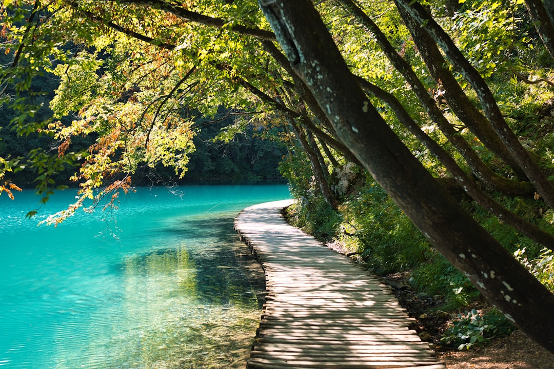 Cascades en gradins et eau turquoise du parc national des lacs de Plitvice en Croatie, traversé par des passerelles en bois