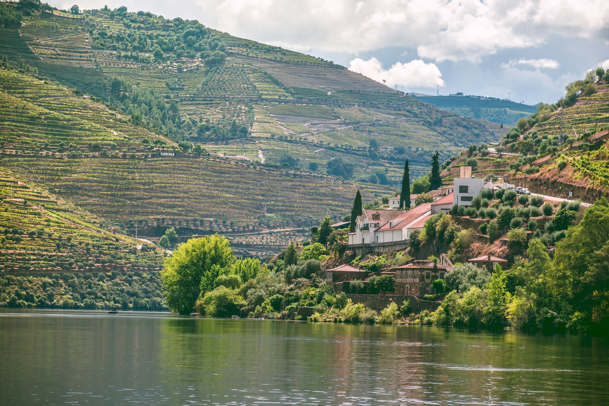 Vignobles en terrasses de la Quinta de la Rosa dans la Vallée du Douro à Pinhão, Portugal, patrimoine UNESCO