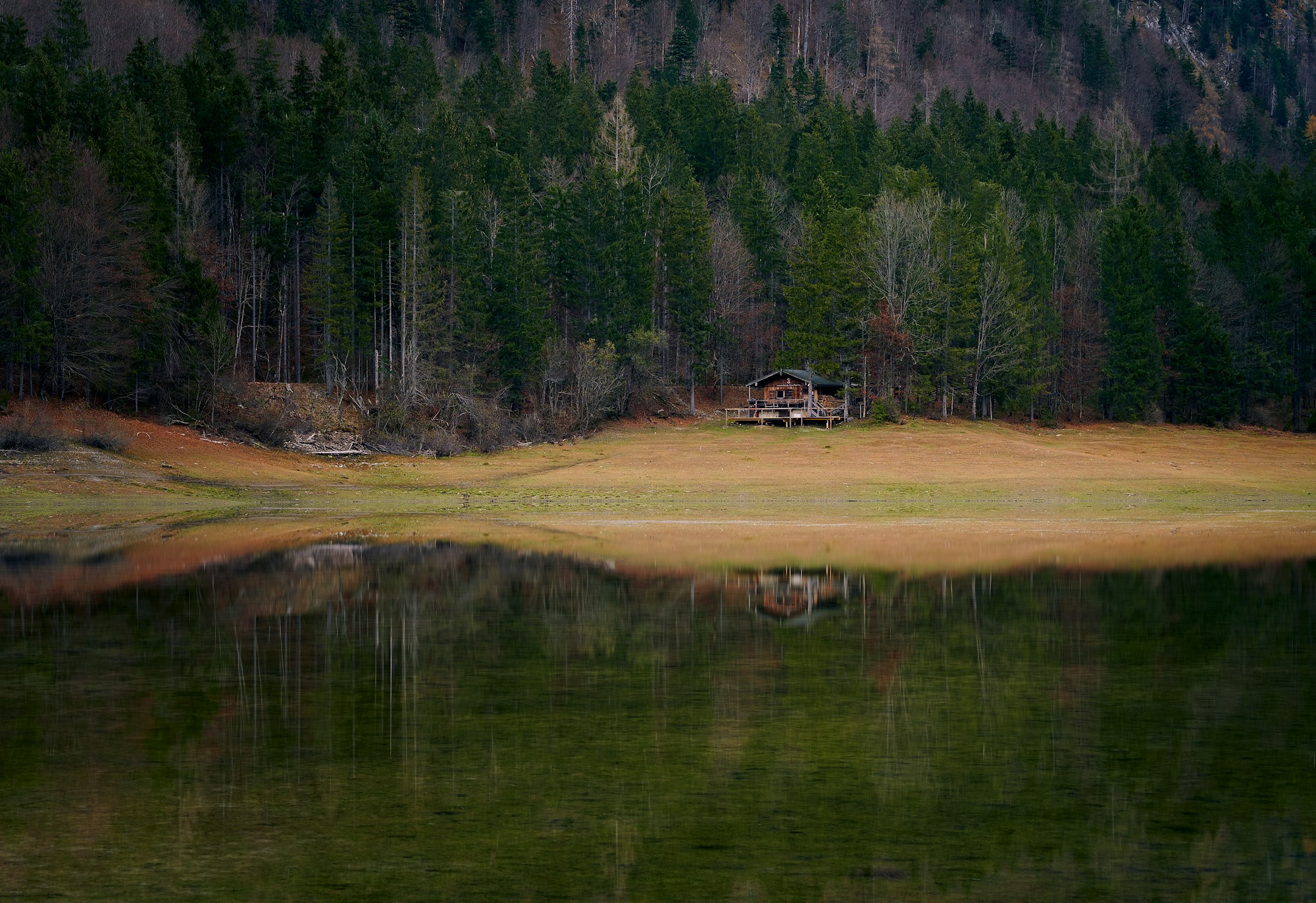 Cabane solitaire en lisière de forêt dans la campagne anglaise du Devon, retraite de méditation Gaia House
