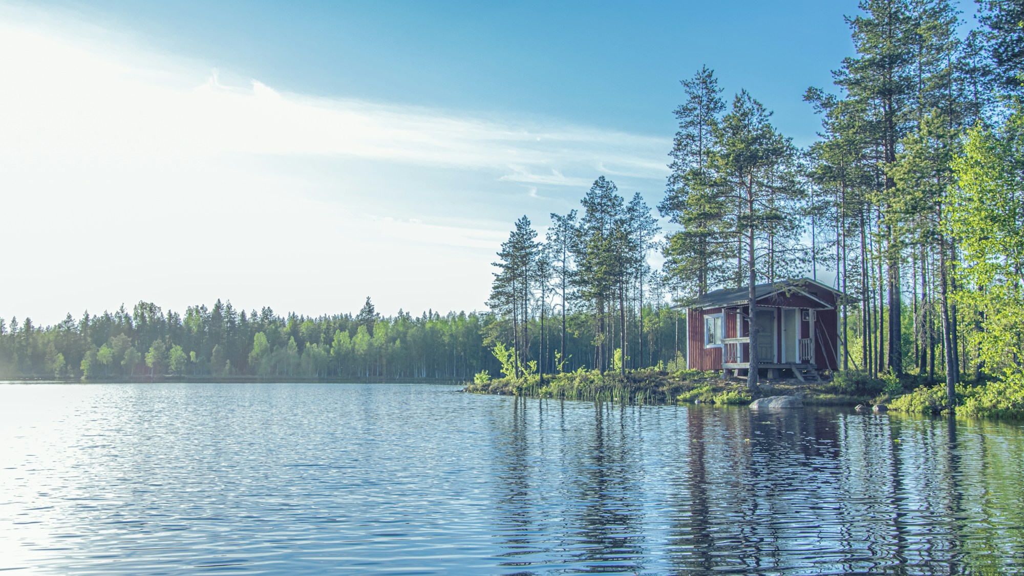 Cabane au bord d'un lac en Laponie finlandaise entourée de forêts de pins, Finlande