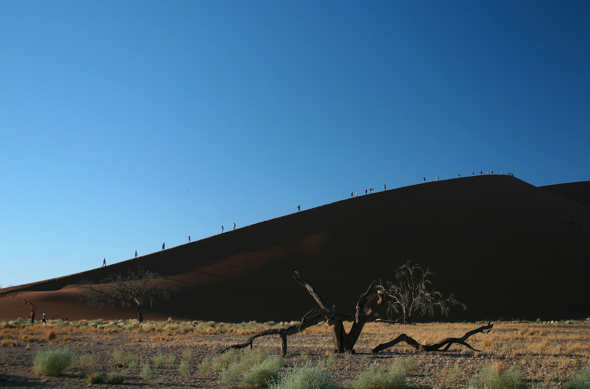 Paysage désertique de la réserve NamibRand en Namibie, dunes de sable et ciel immense