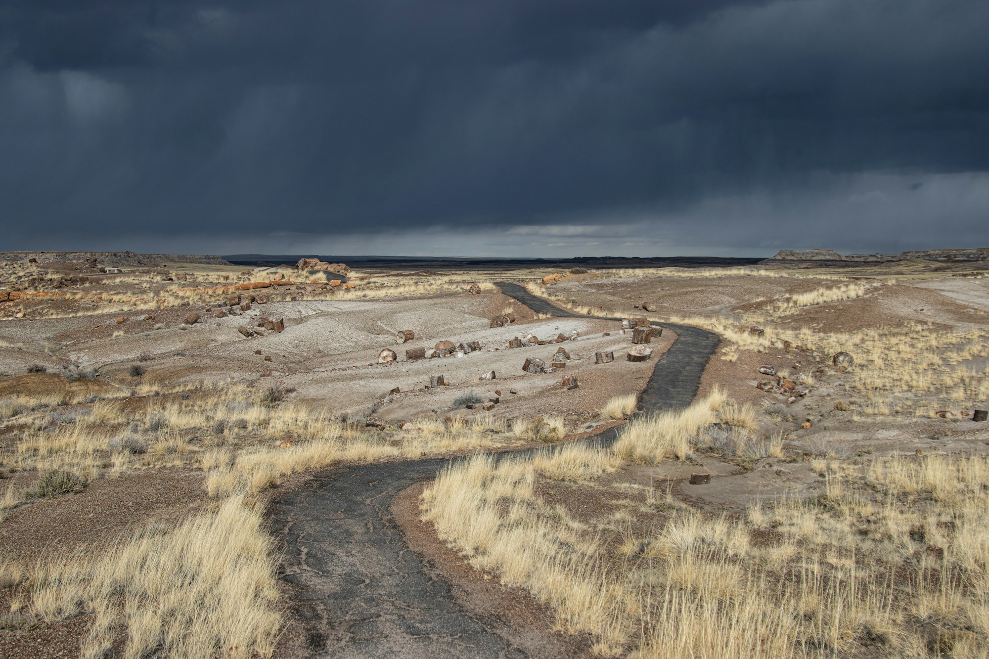 Route solitaire traversant le Petrified Forest National Park en Arizona