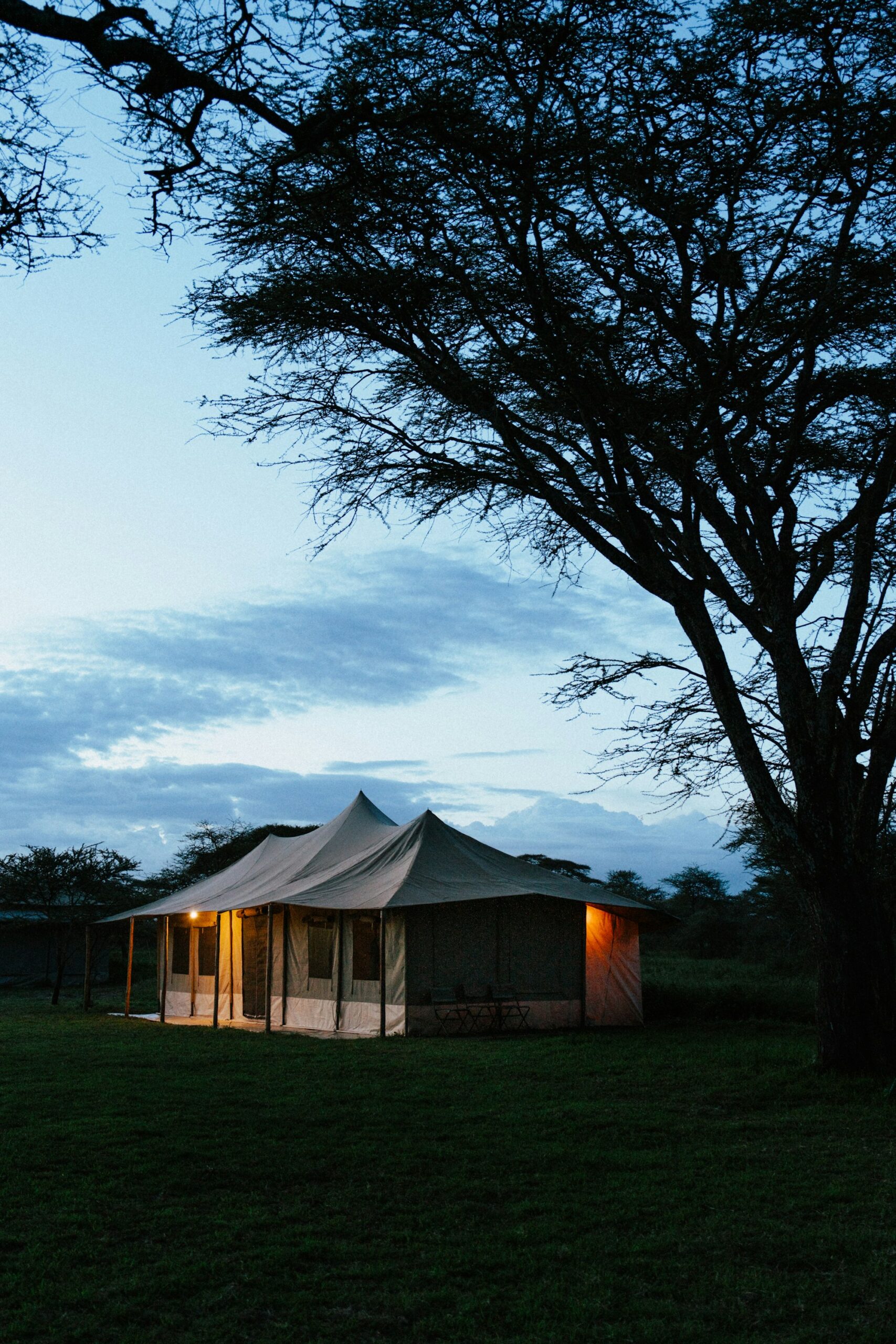 Safari tented camp at dusk in the African savanna