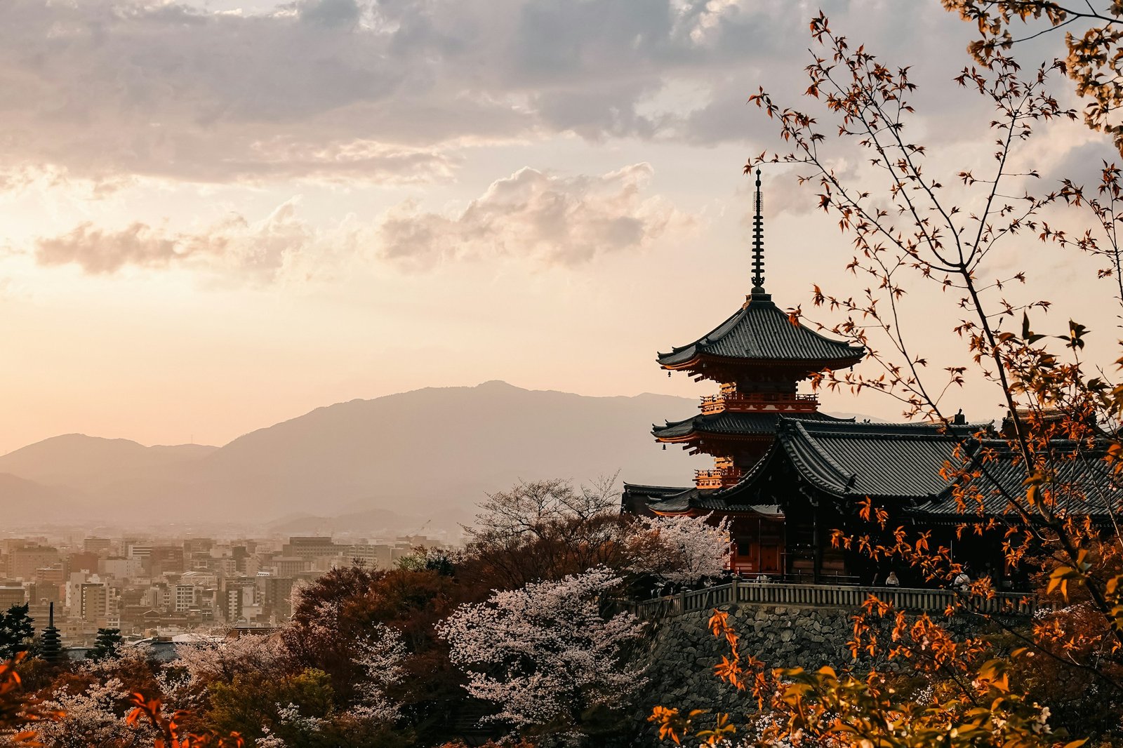 Temple japonais traditionnel entouré de cerisiers en fleurs au Japon