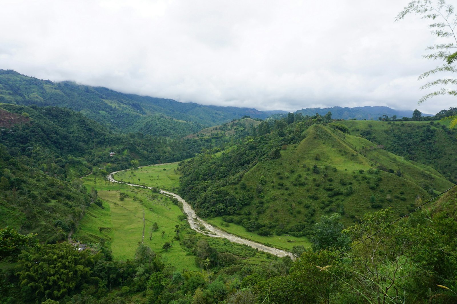 Montagnes verdoyantes de la région du café à Salento, Colombie — Valle del Cocora