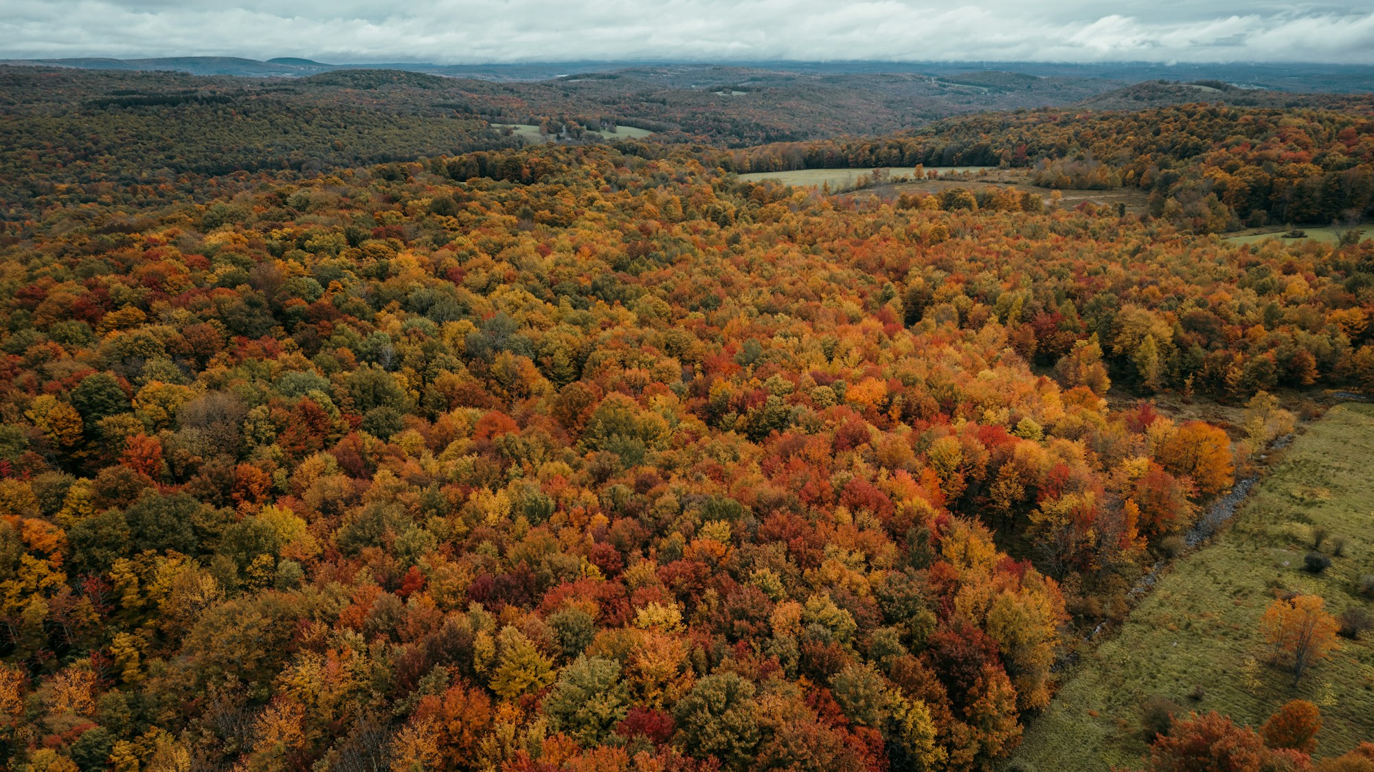 Vue aérienne des Catskill Mountains enveloppées de couleurs d'automne dorées et orangées à Shandaken, New York