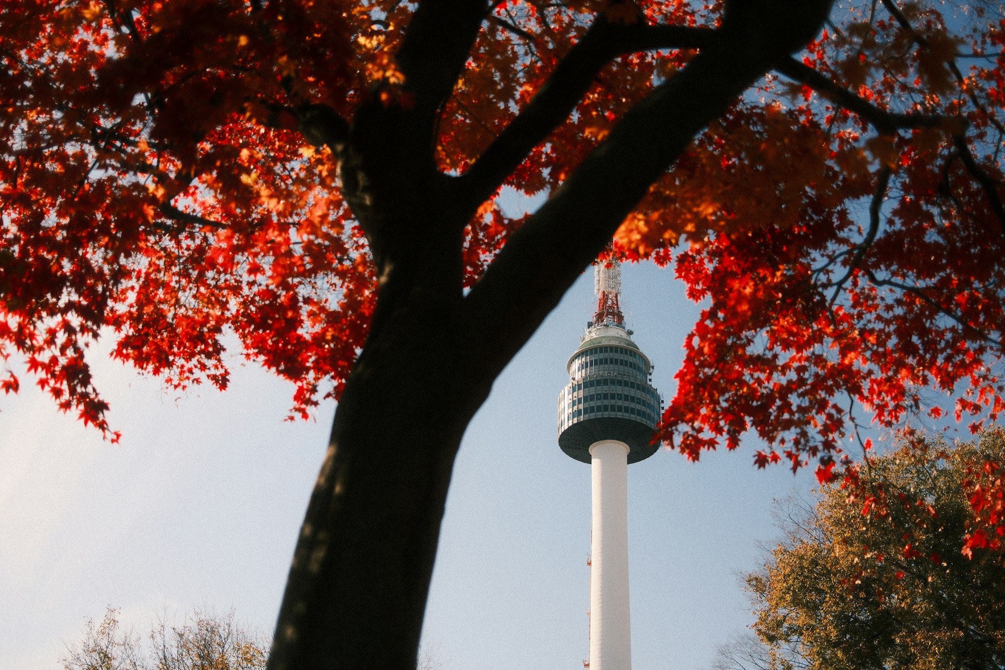 Namsan Tower in Seoul glimpsed through the branches of trees in autumn colours