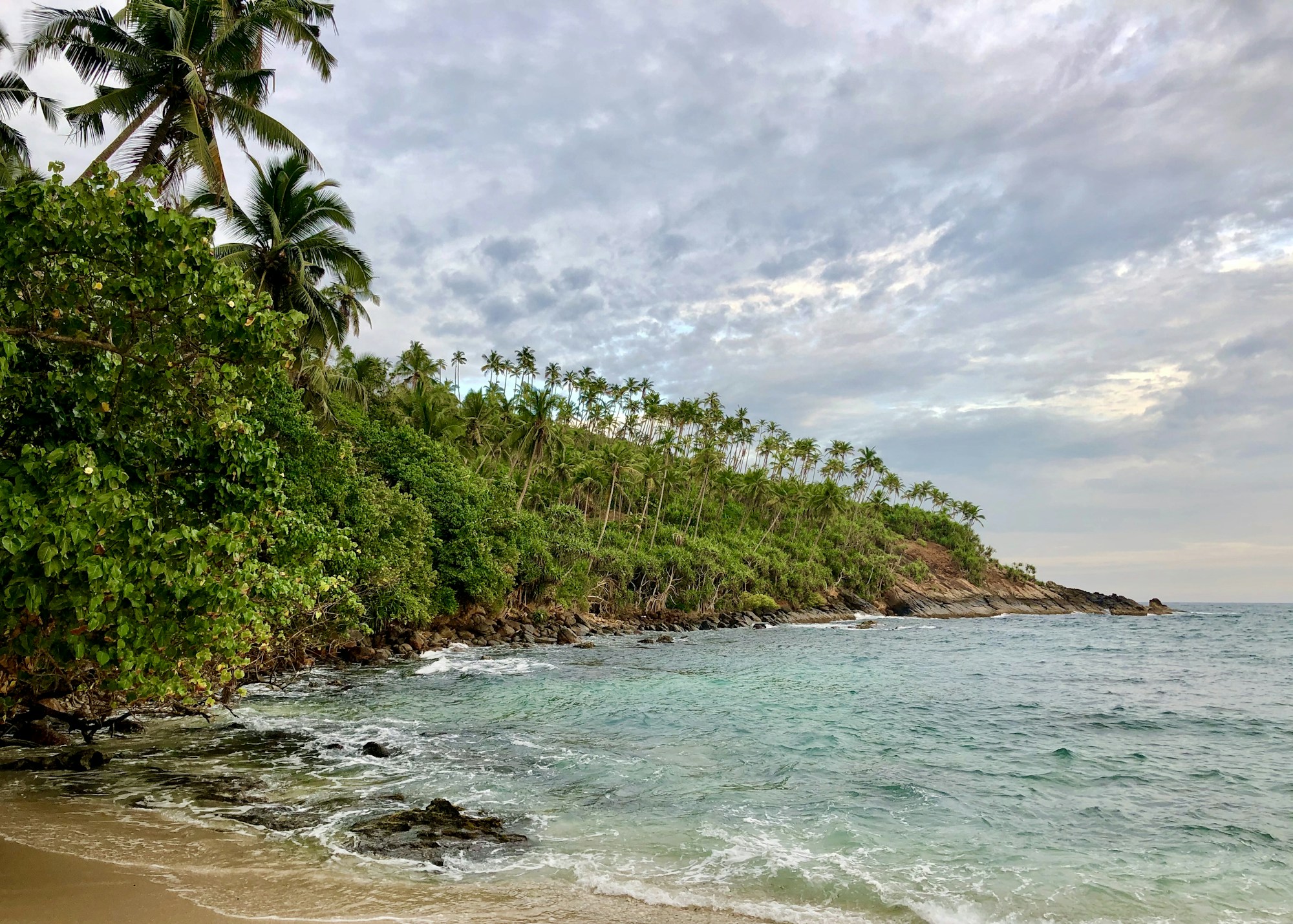 Plage de Mirissa avec palmiers et eaux turquoise, Sri Lanka