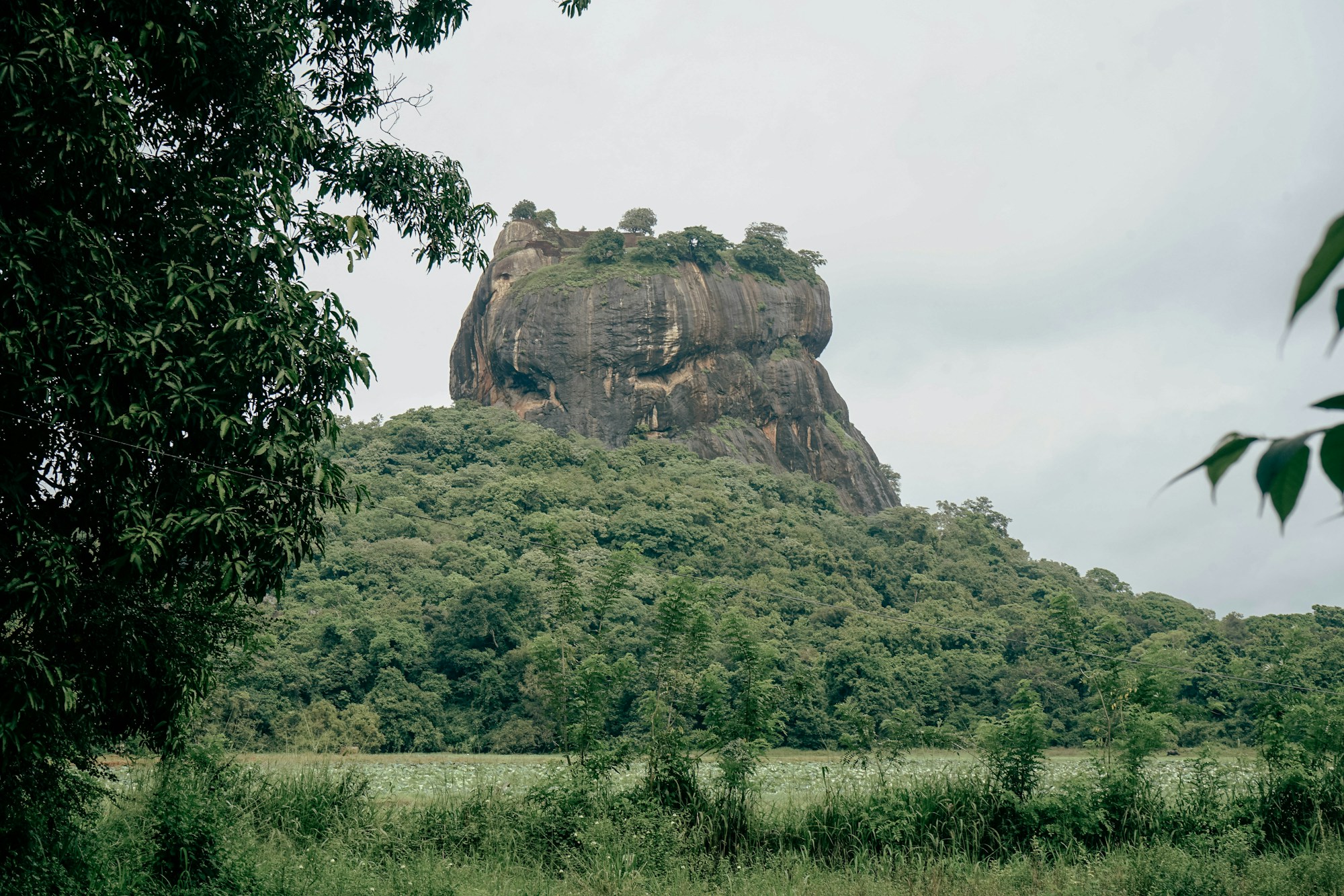 Sigiriya-Felsen, Felsfestung aus dem 5. Jahrhundert, Sri Lanka