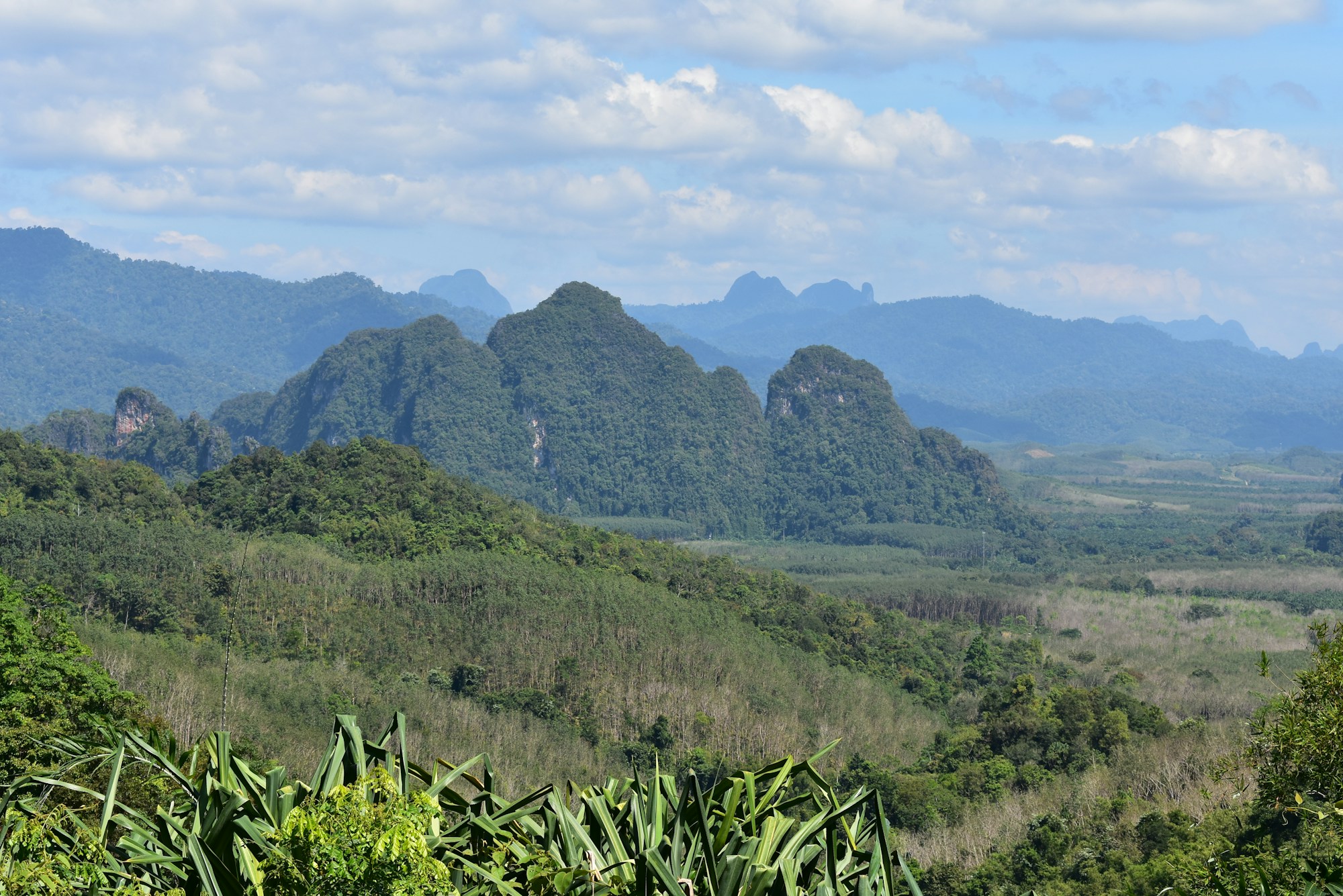 Vallée verdoyante entourée de montagnes tropicales en Thaïlande, cadre idéal pour un festival en plein air