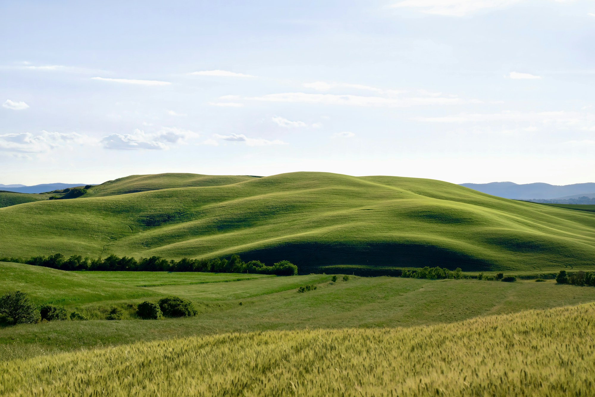 Colline toscane