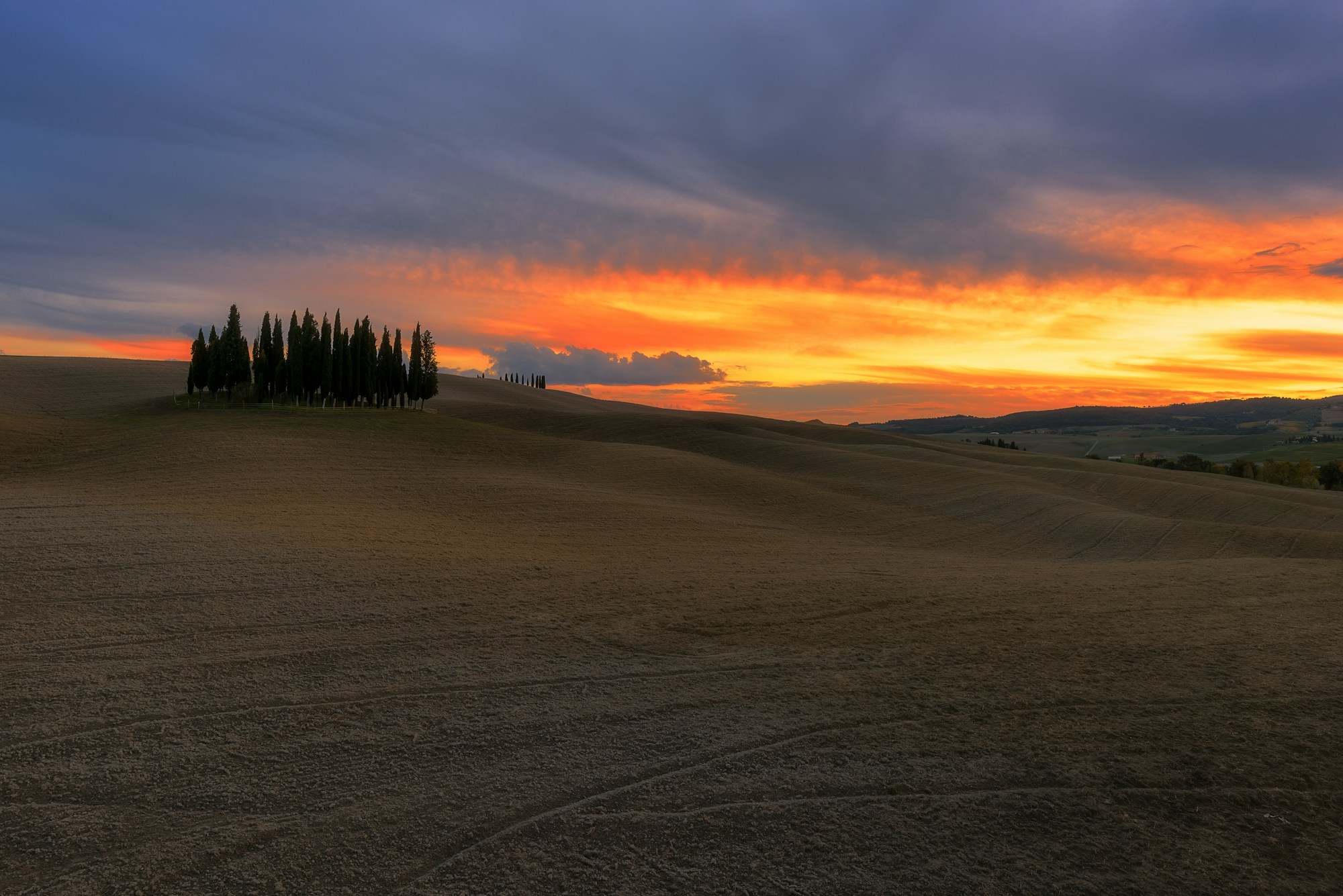 Tuscan landscape of the Val d'Orcia with cypress trees and rolling hills at sunset